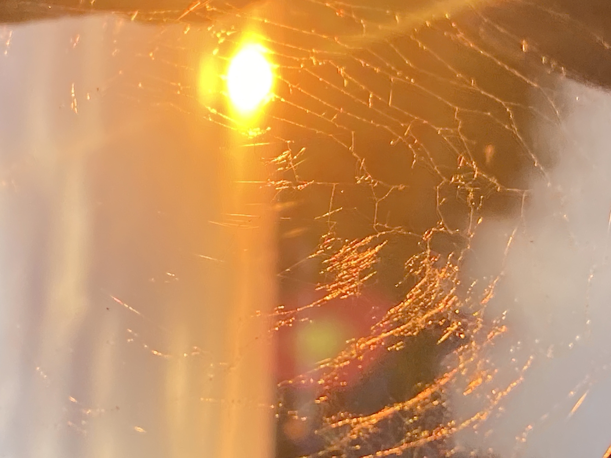 This media file depicts a close-up, abstract view of a spiderweb illuminated by the setting sun. The bright, warm glow of the sun creates a strong backlight, causing the delicate threads of the web to stand out against a blurred background. The sun appears as a brilliant, almost blown-out orb in the upper left portion of the frame, casting a golden-orange hue across the entire scene.
The spiderweb itself is intricate, with fine, almost invisible strands forming a complex network. Tiny droplets, possibly dew or water, are scattered across the web, catching the light and appearing as sparkling points of illumination. These droplets are more concentrated in the lower right area, forming clusters that enhance the ethereal quality of the image.
The background is soft and out of focus, primarily consisting of blended tones of orange, yellow, and white, likely representing the sky or distant elements. There are no discernible people, animals, or specific objects that can be identified. The focus is entirely on the abstract patterns and the play of light on the spiderweb.
The time of day is clearly evening, given the low angle and warm color of the sun, indicating sunset. The weather appears to be clear, allowing for such vibrant illumination. While the image itself does not provide specific location cues beyond the provided context of Novokuybyshevsk, Russia, it evokes a sense of tranquility and the beauty of nature observed in detail. No text is visible in the image. The overall mood is serene and slightly magical, highlighting the often-overlooked beauty of everyday natural phenomena.