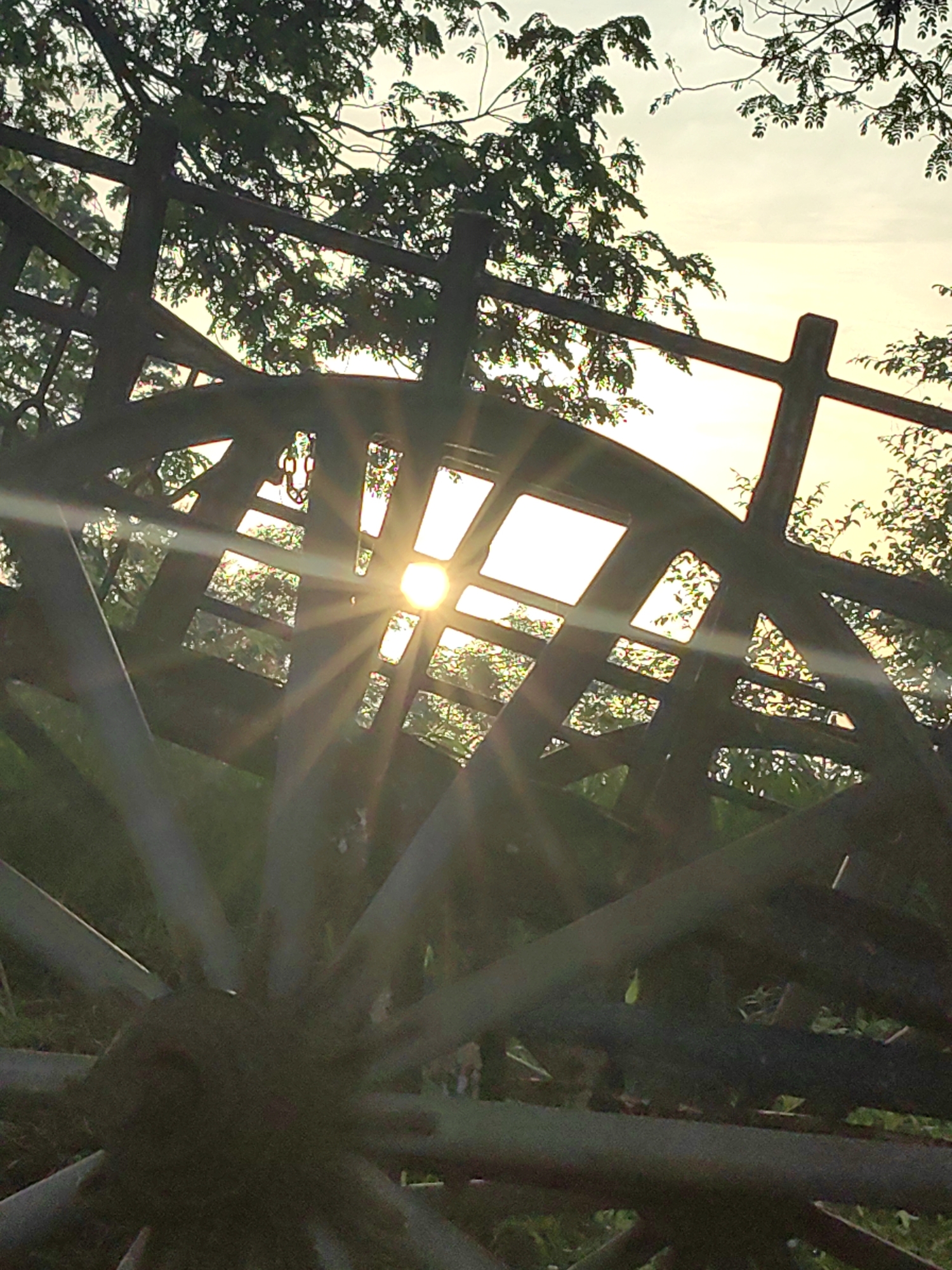 A low-angle, outdoor, medium shot captures the sunburst effect through a dark wooden wagon wheel structure set against a pale sky. The wagon wheel is large and rustic, with spokes radiating from a central hub and a lattice-like outer rim. Sunlight streams through the openings in the rim, creating bright flares and streaks of light. Lush green foliage is visible in the background, silhouetted against the sky, and appears to be from trees. The overall setting suggests a rural or natural environment. The image's content and composition evoke a sense of rustic charm and natural beauty, with the sunburst effect adding a dramatic and artistic element to the scene. The location is identified as Mhaiswadi, India.
