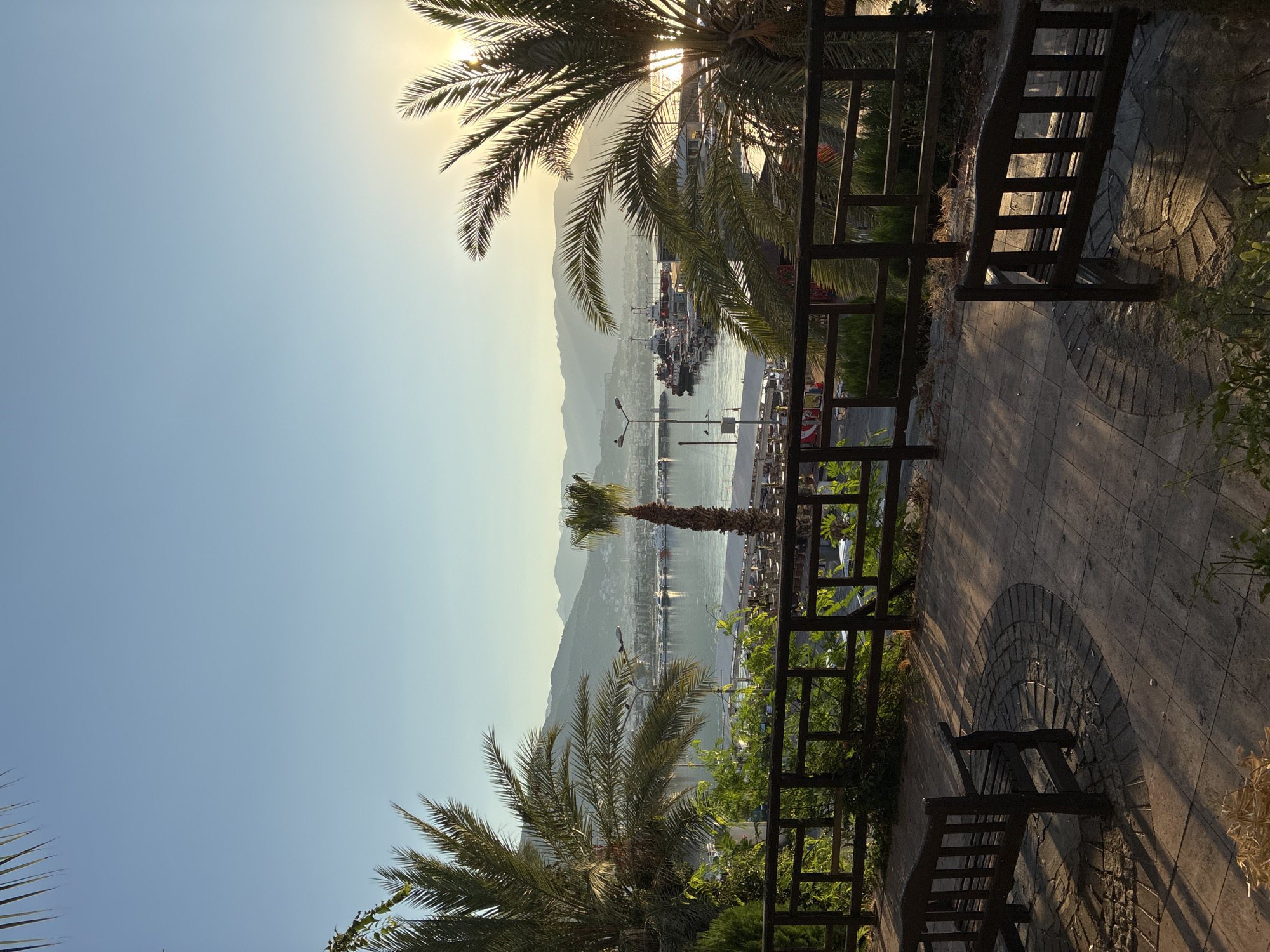 The image captures a tranquil morning scene overlooking the port of Alanya, Turkey, from an elevated vantage point. The foreground features a wooden deck with two dark wooden benches, casting long shadows on the paved ground. A dark wooden fence separates the deck from a lush green area with various plants and trees, including prominent palm trees.
Beyond the fence, the Alanya port unfolds. The calm water of the harbor is filled with numerous boats and yachts, some docked and others at sea. The coastline is lined with buildings, forming a picturesque urban backdrop. In the distance, a range of mountains forms a soft silhouette against the clear blue sky. The sun, low on the horizon, casts a warm, golden light across the scene, with its rays peeking through the fronds of a large palm tree on the right side of the image, creating a serene and inviting atmosphere. The overall impression is one of peacefulness and natural beauty combined with the charm of a coastal city.