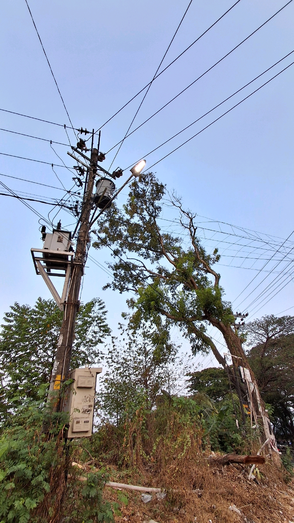 The image depicts a utility pole with transformers and electrical wires against a pale blue sky. A street light is illuminated at the top of the pole. A large tree with green foliage is leaning towards the right, its branches intertwined with the power lines. Below the transformers, there is a grey electrical box mounted on the pole, with some writing on it. The ground is covered with dry brush and some debris, including a fallen branch. The scene appears to be in an outdoor, possibly semi-rural or roadside area.