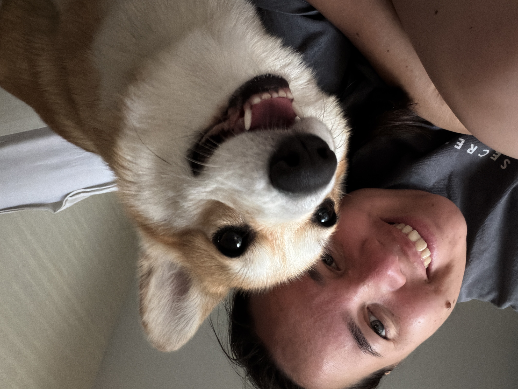 A close-up, selfie-style photo shows a person and a Corgi dog. The person, whose face is partially visible on the left, is smiling broadly, revealing white teeth. They are wearing a dark grey t-shirt with the word "SECRE..." visible on it. The Corgi, occupying the right side of the frame, is also smiling with its mouth open, showing its teeth and pink tongue. Its fur is a mix of tan and white, with black eyes and nose. The background appears to be an indoor setting with a pale, textured wall and a white sheet or blanket. The image does not provide any information about the location in the city of Chaikovsky, Russia.