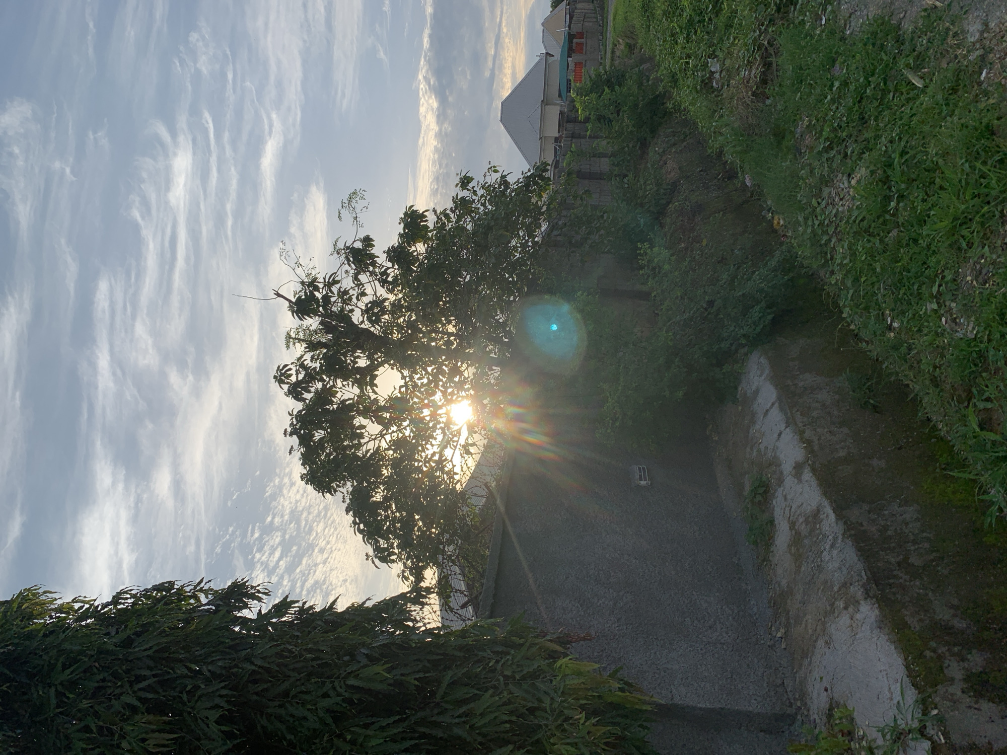The image depicts an outdoor scene in Abuja, Nigeria, likely during sunrise or sunset, given the sun's low angle and lens flare. In the foreground, on the left, is a tall, dense tree with dark green, elongated leaves, casting a shadow. Adjacent to it is a textured, grey concrete wall. To the right of the wall is a narrow, concrete-lined channel, possibly a drainage ditch, with some overgrowth and debris visible. The channel is bordered by lush green vegetation and grass on its right side.
Behind the wall, a medium-sized tree with sparse foliage is silhouetted against the sky, with the sun’s rays dramatically bursting through its branches, creating a strong lens flare effect. Beyond the tree and wall, several modern buildings with light-colored, angular roofs are visible in the mid-ground. The sky is filled with wispy, light blue and white clouds, suggesting a partly cloudy atmosphere. The overall environment appears to be an urban or peri-urban area in Abuja. No people or animals are visible in the frame.