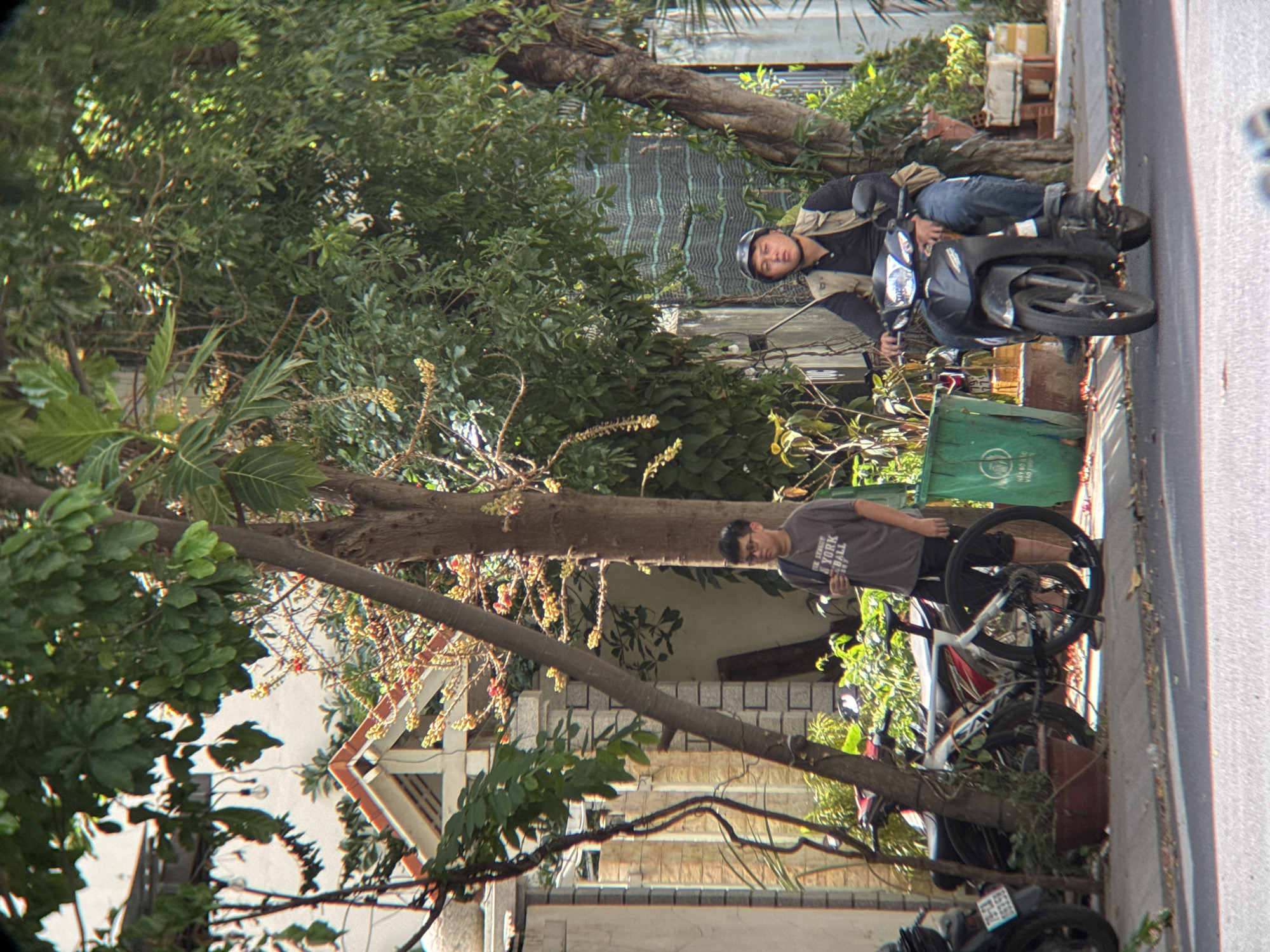 In Nha Trang, Vietnam, a young man wearing glasses and a dark grey t-shirt stands next to a tree. He has a black backpack slung over his right shoulder. To his left, a bicycle with a white, red, and black frame is parked near a potted plant. Behind the bicycle, a motorcycle is partially visible. Further to the right, another young man wearing a helmet, a light brown vest over a dark long-sleeved shirt, and blue jeans is sitting on a black motorcycle, looking towards the viewer. He is wearing a black helmet and has his left hand on the motorcycle's handlebar. A large green trash bin is situated behind him. The scene is outdoors, with abundant foliage from trees and plants surrounding the area. The ground is paved with concrete and asphalt.