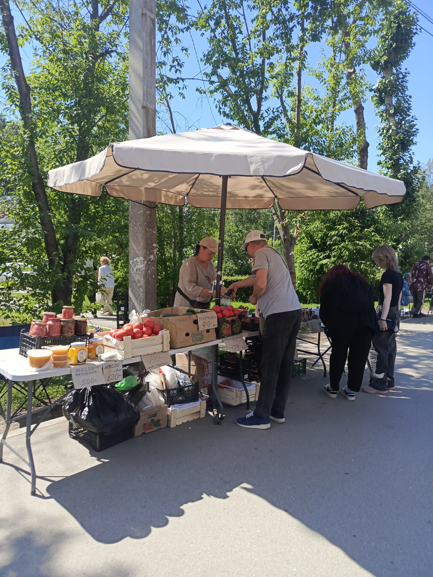 An outdoor market is taking place on a sunny day, likely in a residential area or park, given the presence of trees and a sidewalk. The scene is set under a large, light-colored umbrella, providing shade for a vendor stall.
A male vendor, wearing a light-colored cap and a grey t-shirt, is interacting with customers. He appears to be weighing or packaging produce. Behind the stall, a female vendor, wearing a cap and a light-brown top, is also engaged in sales.
The stall displays various goods, including jars of preserves or jams, honey in glass jars, and crates of fresh produce like tomatoes and cucumbers. Price tags are visible, indicating items such as "MASLO TOPLENOE 500-" (likely referring to rendered butter with a price of 500 units of currency) and "MASLO 120-" (butter, 120 units of currency). Another sign reads "OGURCHIKI 99-" (cucumbers, 99 units of currency).
Several customers are present. One customer, a woman with red hair and wearing a black jacket, is looking at the produce. Another customer, a young woman with blonde hair and wearing a black t-shirt, is standing near the stall. In the background, a woman in a white shirt and tan pants is walking away, and other people are visible further in the distance.
The environment consists of a paved surface that appears to be a sidewalk or road. Trees with lush green foliage line the background, and a utility pole stands near the umbrella. The sky is clear and blue. The overall impression is a bustling local market scene, capturing a moment of commerce and community interaction. The specific location in the city of Perm, Russia, cannot be definitively determined from the visual information alone, but the presence of Cyrillic script on the price tags suggests a Russian-speaking region.