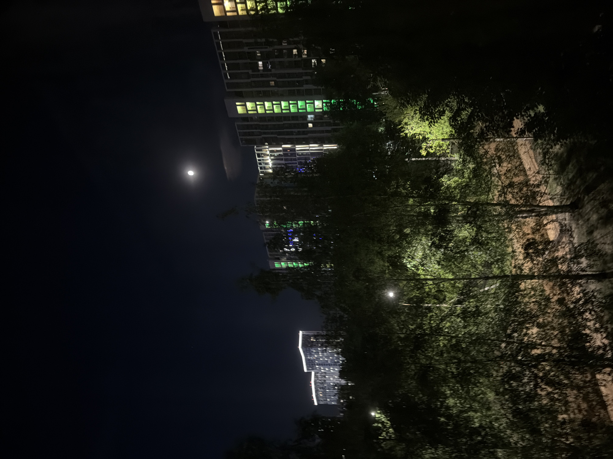 The image depicts a night scene in Izhevsk, Russia. In the night sky, a full moon is visible. The lit-up buildings, including residential high-rises, stand in the background, and their lights illuminate the sky and the nearby trees. The trees stand on the street-side and are illuminated by the city lights. The scene is mostly dark.