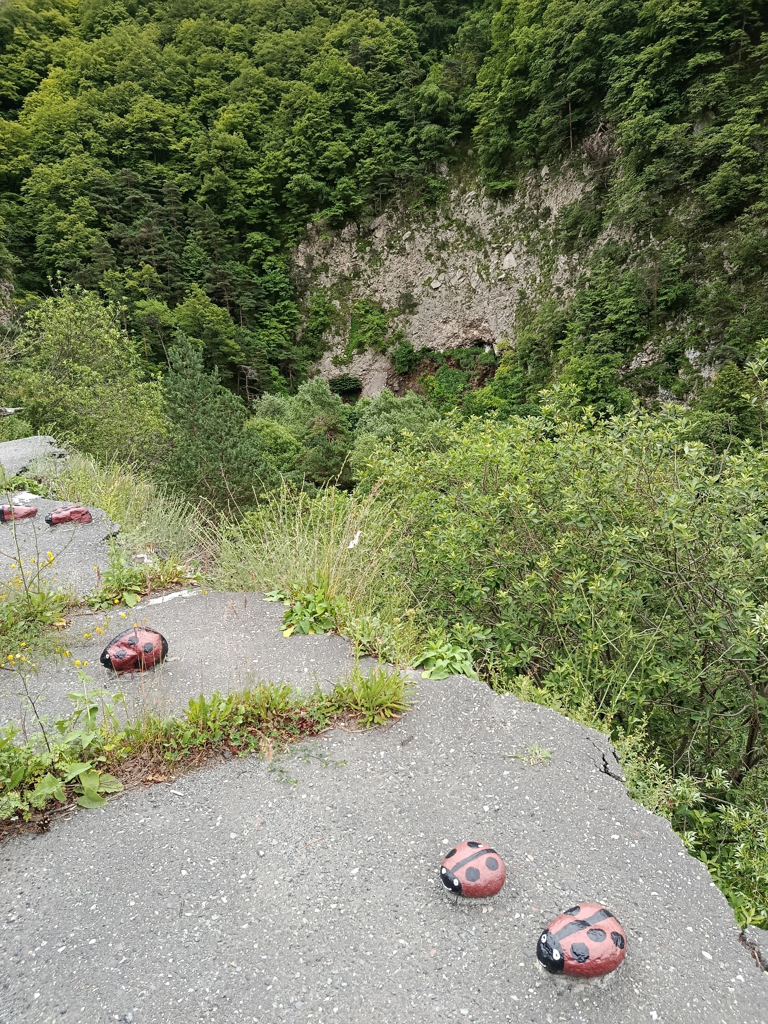 The image depicts an outdoor scene with a rocky cliff face covered in lush green vegetation. In the foreground, a cracked asphalt surface is visible, with several small, round objects painted to resemble ladybugs scattered across it. Some of these ladybug-painted objects are closer to the viewer, while others are further away. The surrounding environment is characterized by abundant plant life, including tall grasses and leafy bushes, with a dense forest covering the slopes of the cliff. The overall impression is of a natural landscape with a touch of whimsical decoration. The location is identified as Dzivgis, Russia.
