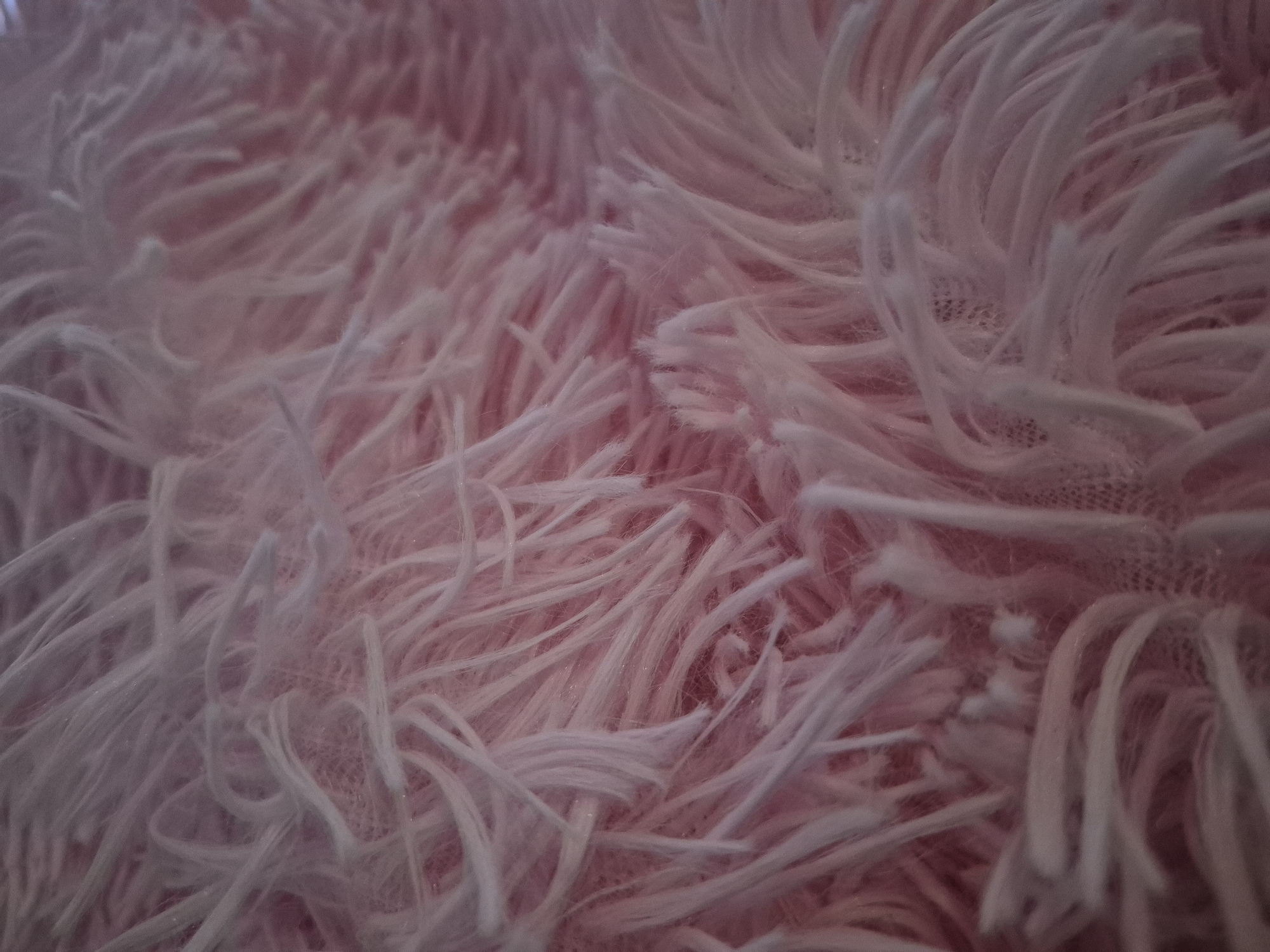 The image shows a close-up of a pink, shaggy fabric or material. The individual fibers or strands appear soft and fluffy, creating a textured surface. There is no indication of location in Tobolsk, Russia, nor are there any people, subjects, objects, actions, interactions, or environmental details beyond the fabric itself.