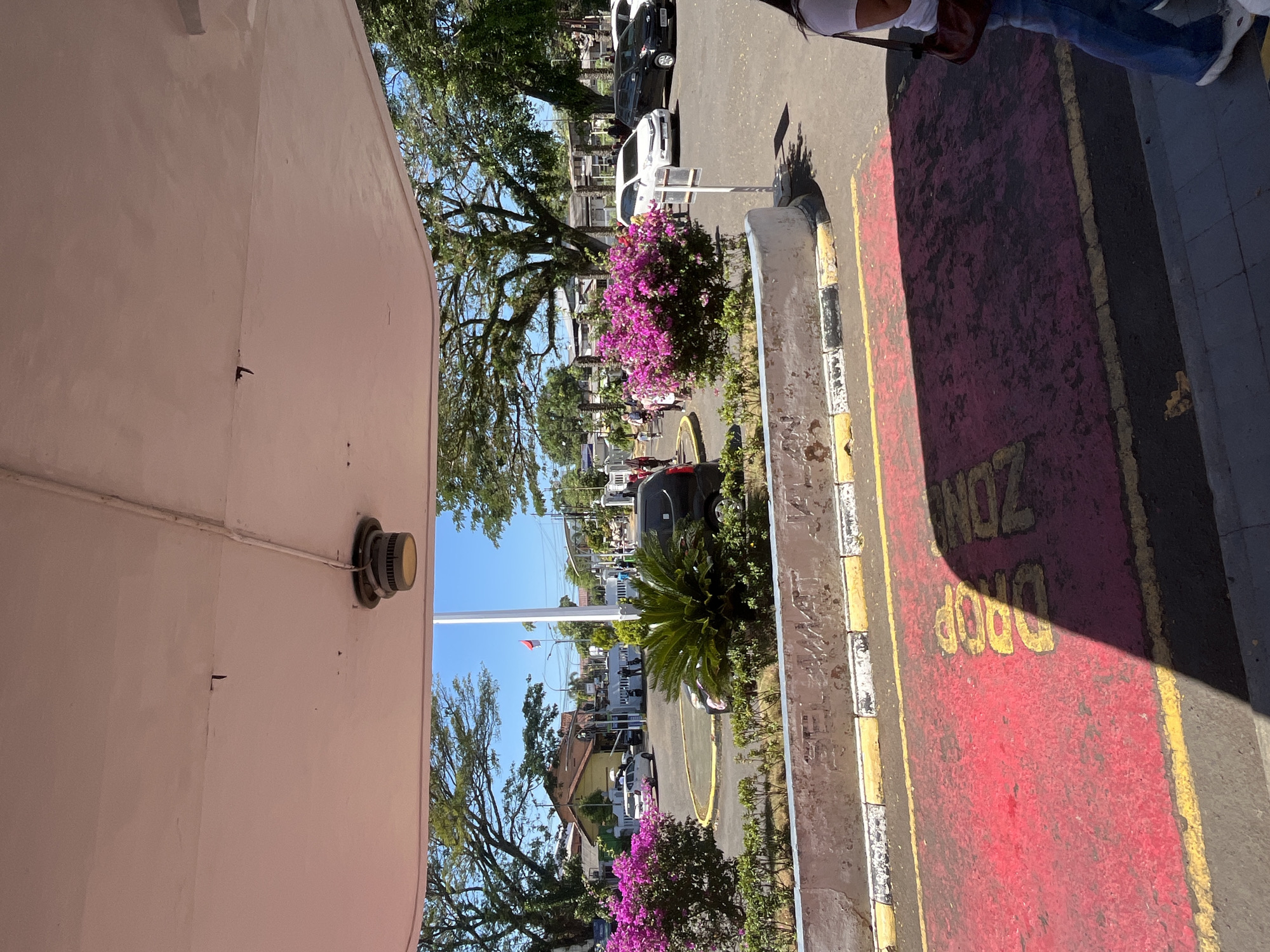 This is a street-level, eye-level, outdoor, daytime photograph taken in Desa Tambakreja, Indonesia. The foreground is dominated by a red-painted area on the asphalt, with yellow lines marking its edges. Faint yellow lettering, possibly "DROP ZONE", is visible on the red surface. A dark shadow, likely cast by a structure or large object, covers a significant portion of the red area.
In the midground, a white concrete barrier with peeling paint and some graffiti separates the red zone from a landscaped area. This landscaped area features a central palm-like plant and vibrant pink flowering bushes on either side. Beyond this, a road or parking area is visible with several vehicles, including a white SUV, a black SUV, and what appears to be a hearse or long black van. People are seen walking around in this area.
The background shows more trees, buildings, and a clear blue sky. A white flagpole with a red and white flag is prominent. The overall scene suggests a public space, possibly near an entrance or drop-off point for a facility in the town. The lighting indicates a bright, sunny day.