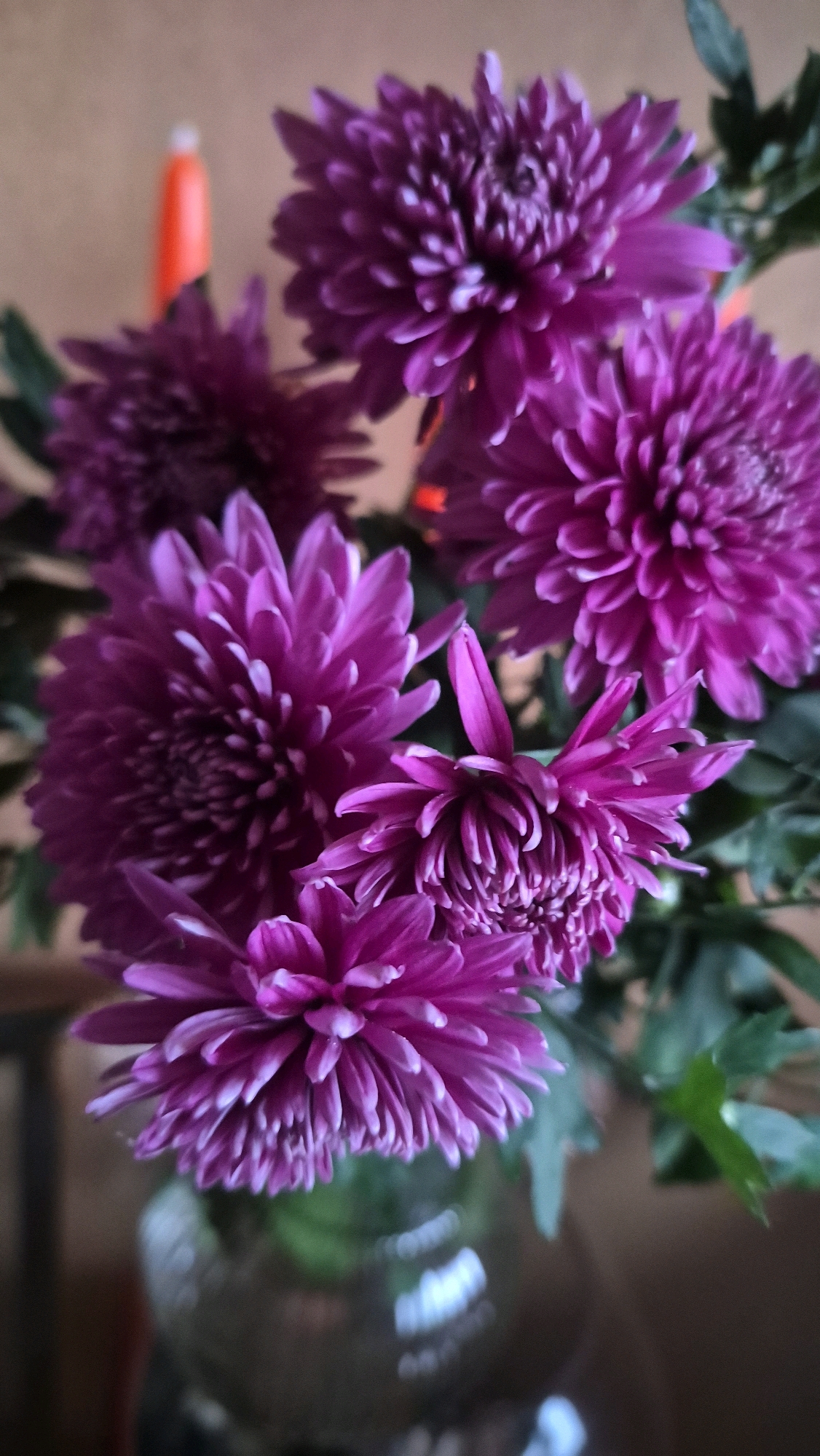 A close-up, vertical shot shows a vase filled with vibrant purple chrysanthemums. The flowers are the dominant element, with their intricate petal structures and rich color filling most of the frame. The background is softly blurred, with hints of an orange object on the left and green foliage interspersed with the flowers. The vase itself, made of dark glass, is partially visible at the bottom, reflecting light. There are no people or animals present, and no discernable action is taking place. The setting does not provide any specific clues to its location within Krauja, Latvia.