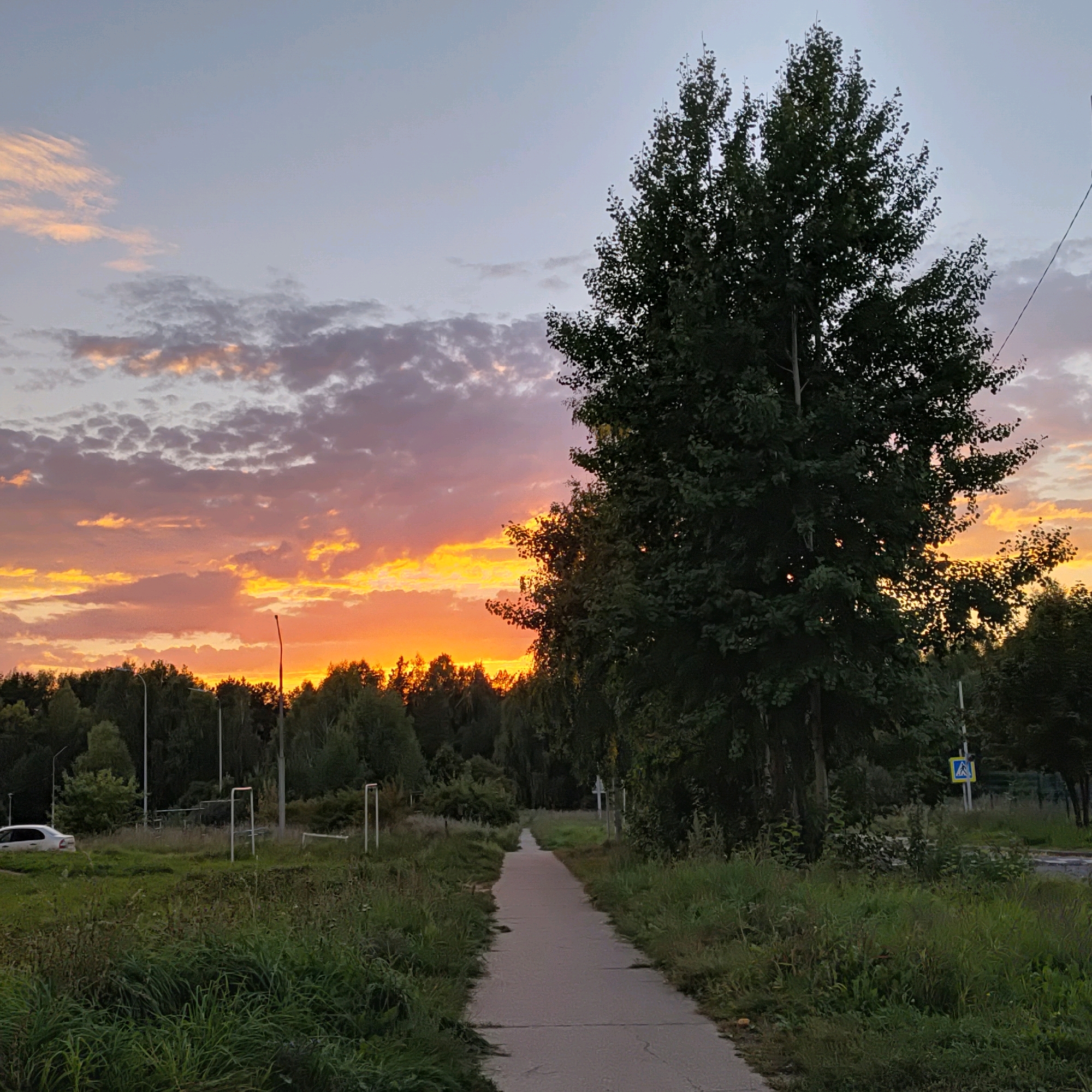The image depicts a scene at dusk in Markovsky, Russia. A paved pathway stretches into the distance, flanked by overgrown grass and vegetation on either side. A large, leafy tree stands prominently on the right side of the pathway. In the background, a dense line of trees forms a dark border against the sky. The sky is painted with vibrant sunset colors, featuring hues of orange, yellow, pink, and purple, with scattered clouds. A white car is parked on the left side of the image, near the beginning of the pathway. Several lampposts are visible in the midground, along with some white structures that appear to be part of a sports field or outdoor recreational area. A pedestrian crossing sign is also visible on the right. The overall impression is a tranquil, natural setting enhanced by the dramatic colors of the sunset.