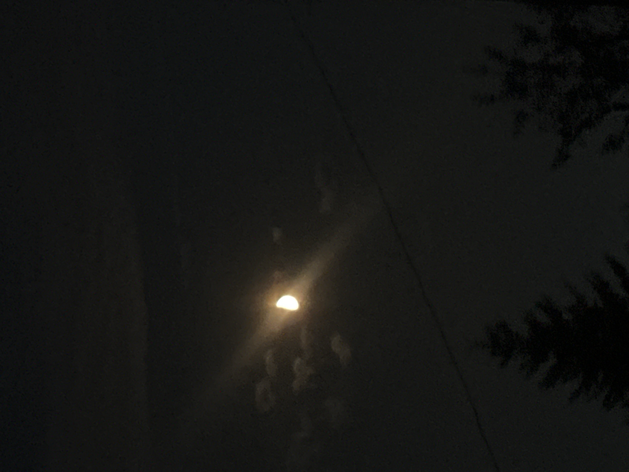 A half-moon is visible in a dark, cloudy sky. The moon is illuminated from the left, casting a soft glow that diffuses through the clouds. Below the moon, a faint horizontal line, possibly a wire or a branch, is visible against the dark sky. In the lower part of the image, the dark silhouettes of evergreen trees are discernible against the night sky. There are no people or specific landmarks to indicate the location within Biysk, Russia. The overall scene depicts a nocturnal landscape.