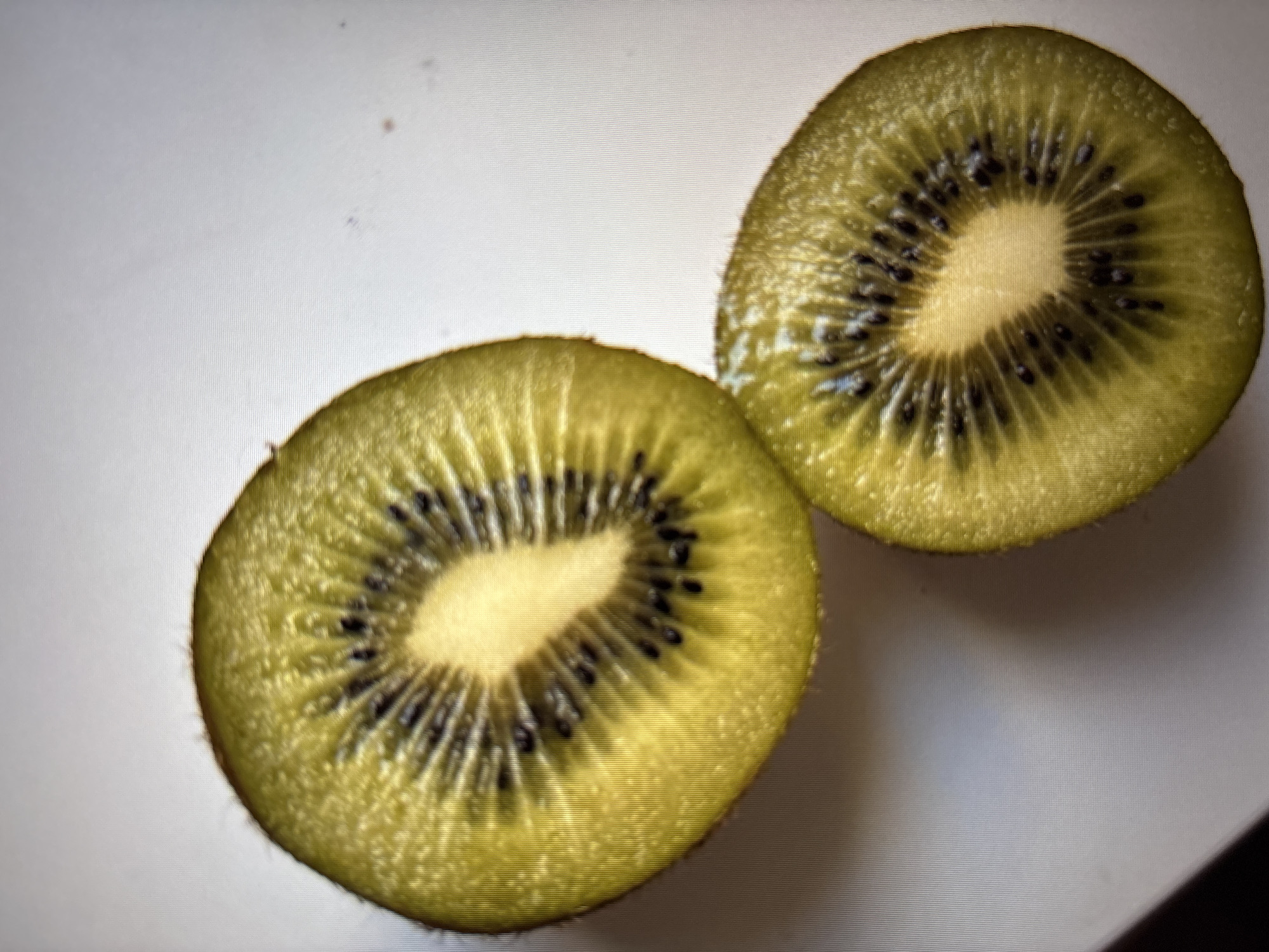 The image shows two halves of a golden kiwi fruit placed on a white surface. The kiwi halves are positioned close to each other, with one slightly above and to the left of the other. The flesh of the kiwi is a vibrant yellow-green, and the small black seeds are clearly visible, arranged in a radial pattern around a lighter yellow core. The skin of the kiwi appears fuzzy. The background is a plain white surface, possibly a table or a light-colored countertop, with a subtle hint of a grid pattern suggesting a digital display. There are no people, animals, or other objects visible in the frame. The lighting is even, highlighting the textures and colors of the fruit. There is no information in the image to suggest a location in Sofia, Bulgaria.