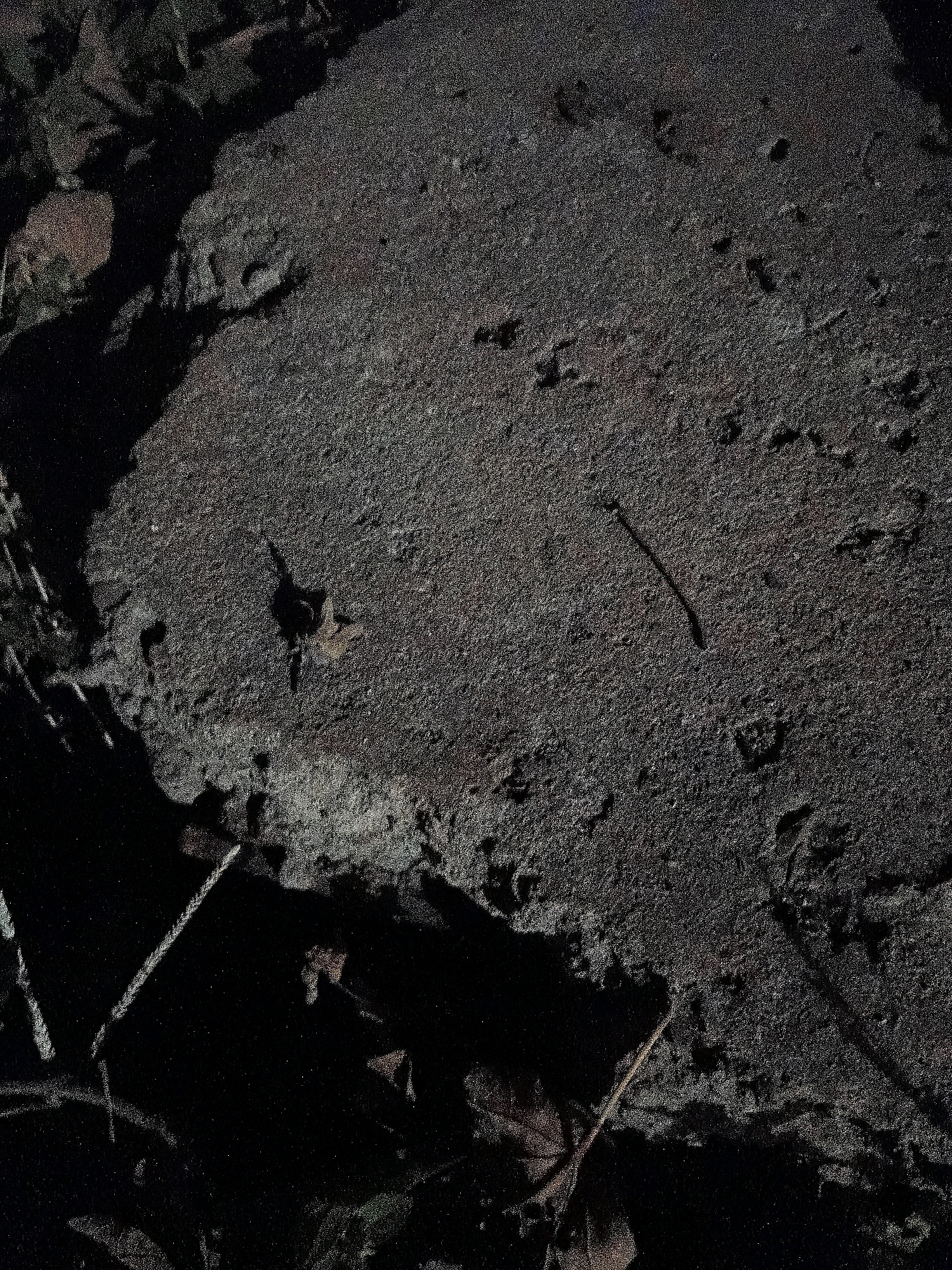 The image depicts a close-up, grainy view of a dark, rough surface, possibly concrete or asphalt, with scattered leaves and debris. A thin, dark twig or grass blade lies diagonally across the surface. The lighting is dim, creating deep shadows in the lower left quadrant, where what appears to be part of a rope or string is visible. The scene is likely an outdoor environment, possibly a neglected urban or natural setting. No specific landmarks or contextual clues are present to pinpoint a location within Cikal, Indonesia.