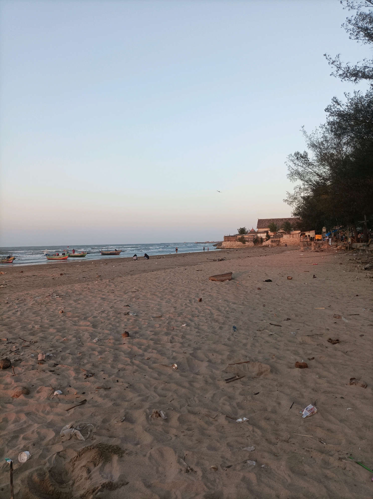 This image depicts the sandy beach of Palang, Indonesia, during what appears to be either sunrise or sunset, given the soft, diffused light and the pastel colors in the sky. The foreground is dominated by a wide expanse of sand littered with various types of debris, including plastic bags, bottles, Styrofoam containers, coconut shells, and driftwood. The sand itself shows ripples and patterns from wind and water.
In the mid-ground, several small fishing boats are beached or anchored near the shore. Some of these boats are colorful, while others appear more weathered. A few people are visible near the boats, seemingly engaged in activities related to fishing or maintaining the vessels. Further back, along the coastline, a row of buildings with terracotta roofs is visible, suggesting a settlement or resort area. Trees with dense foliage are present along this elevated section of the coast, casting shadows on the sand.
The sea stretches to the horizon, with moderate waves breaking on the shore. The water appears to be a muted blue-grey, reflecting the sky. The sky itself is a gradient of light blue and a pale pinkish-orange near the horizon, with a bird in flight visible against the sky.
The overall impression is a slightly neglected beach area, with the natural beauty of the coastline marred by considerable litter. The presence of fishing boats and buildings indicates human activity and settlement in the vicinity.