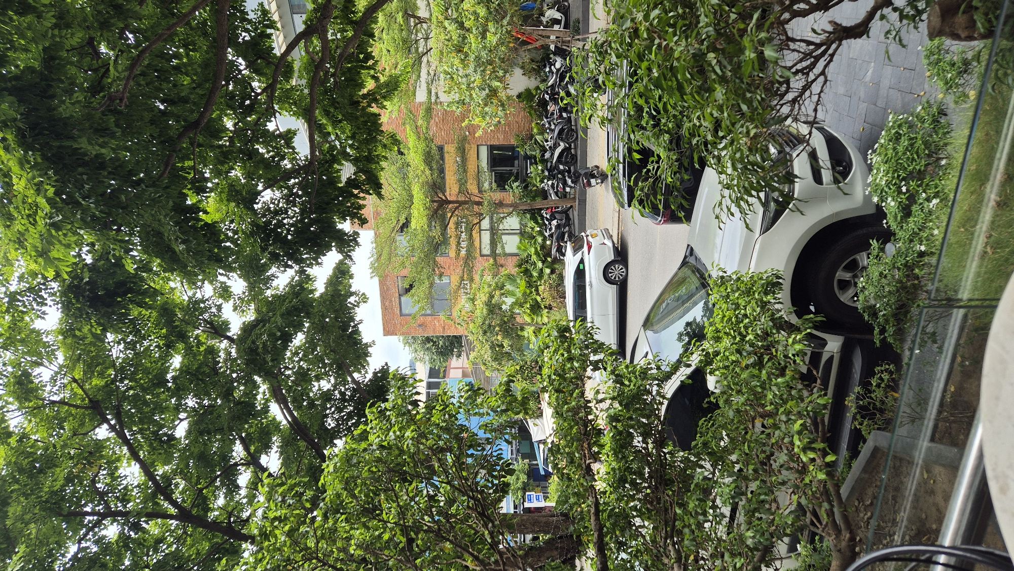 The image depicts a street scene in Đà Nẵng, Vietnam, characterized by lush greenery and urban architecture. In the foreground, a white SUV is parked along a sidewalk paved with grey rectangular tiles. The SUV's headlights and front grille are visible, along with its side profile extending towards the back. To the left and right of the SUV, dense green foliage obscures parts of the vehicle and the surrounding environment.
Behind the SUV, a row of parked motorcycles and scooters is lined up along the sidewalk. Further in the background, a multi-story building with a brick facade stands prominently. The building features several windows, some of which are dark and reflective, and a horizontal band of yellow accents. Adjacent to this building, a smaller structure with blue walls is partially visible.
The scene is framed by the branches and leaves of mature trees that arch over the street, creating a natural canopy. The sky above is overcast. The overall impression is one of a vibrant urban area interspersed with abundant plant life.