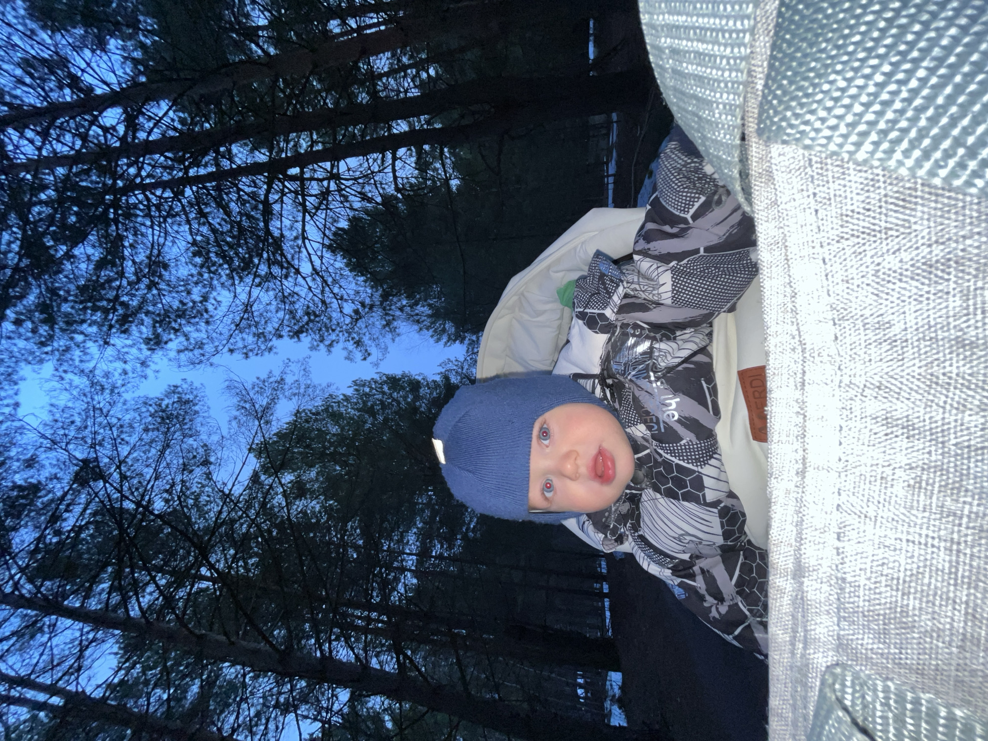 A young child wearing a blue knit hat and a black and white patterned jacket peers out of a stroller. The backdrop includes a forest scene with tall, dark trees against a dusky blue sky. The location is Chaikovsky, Russia.