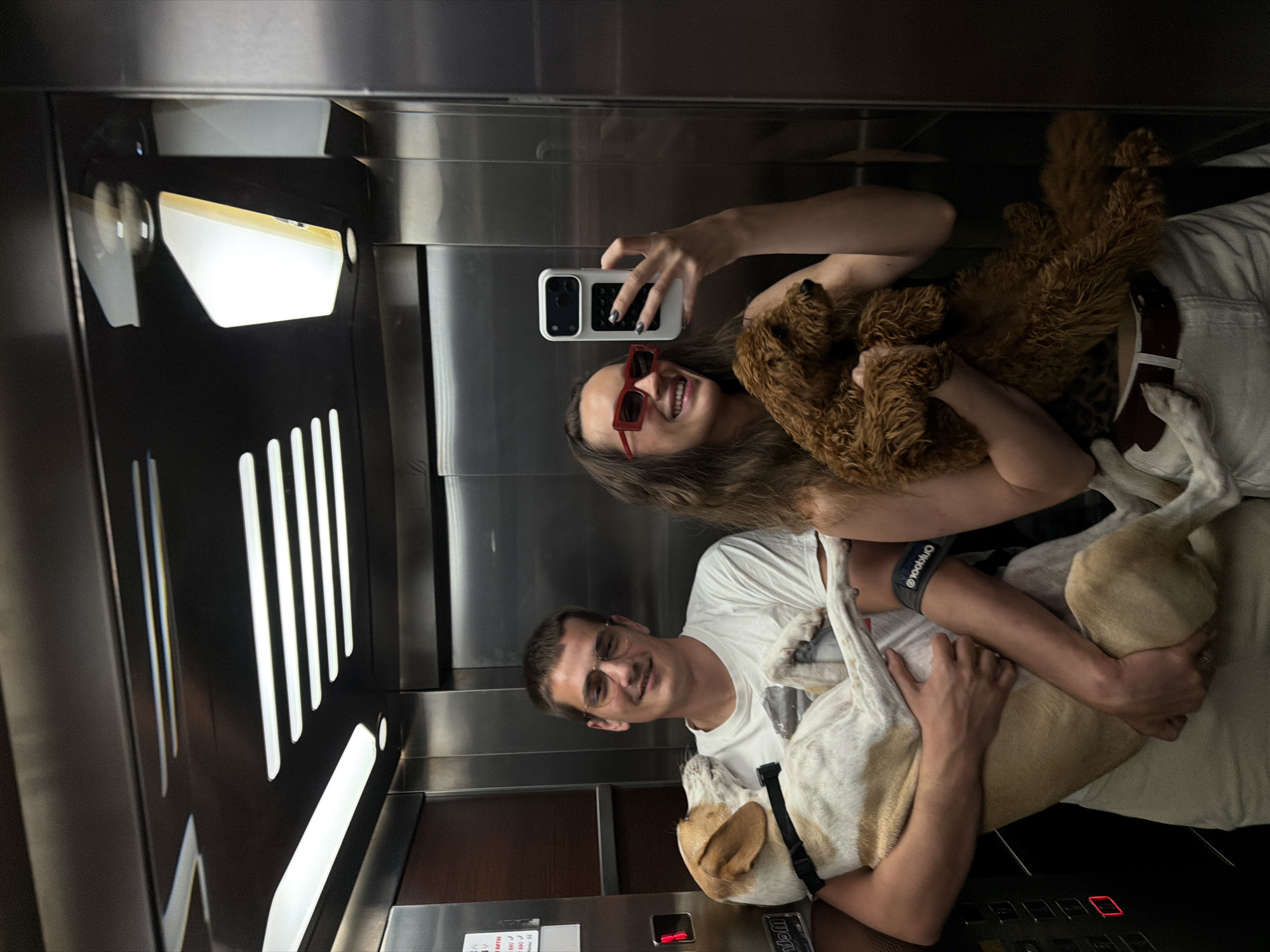 The image captures a man and a woman with two dogs inside an elevator. The woman, wearing red sunglasses, is holding a brown poodle and taking a selfie with her smartphone. The man is holding a larger dog with a tan and white coat. The elevator has a modern design with stainless steel walls and a panel with vertical lights. The image does not contain information about the location in the city of Budva, Montenegro.