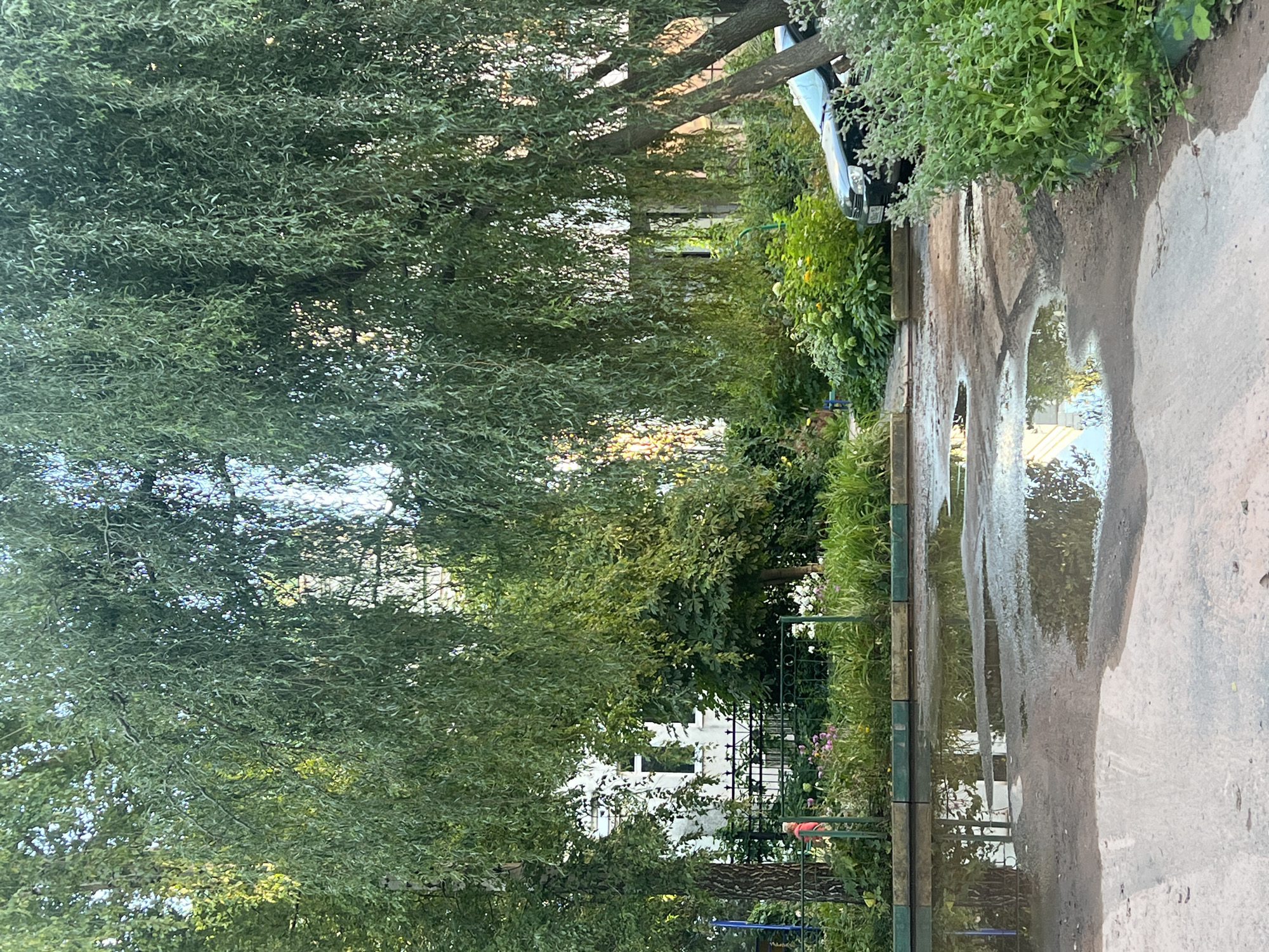 The image depicts a courtyard area in Nizhny Novgorod, Russia, after a rainfall. Puddles of water are visible on the asphalt, reflecting the surrounding greenery and buildings. Large, weeping willow trees dominate the foreground, their branches hanging low and creating a canopy of leaves. Behind the trees, a white building with visible windows can be seen, along with a black metal fence enclosing a garden area with flowers and lush vegetation. A dark-colored car is parked on the right side of the image, partially obscured by dense green bushes. The overall scene suggests a residential courtyard, with signs of recent precipitation.