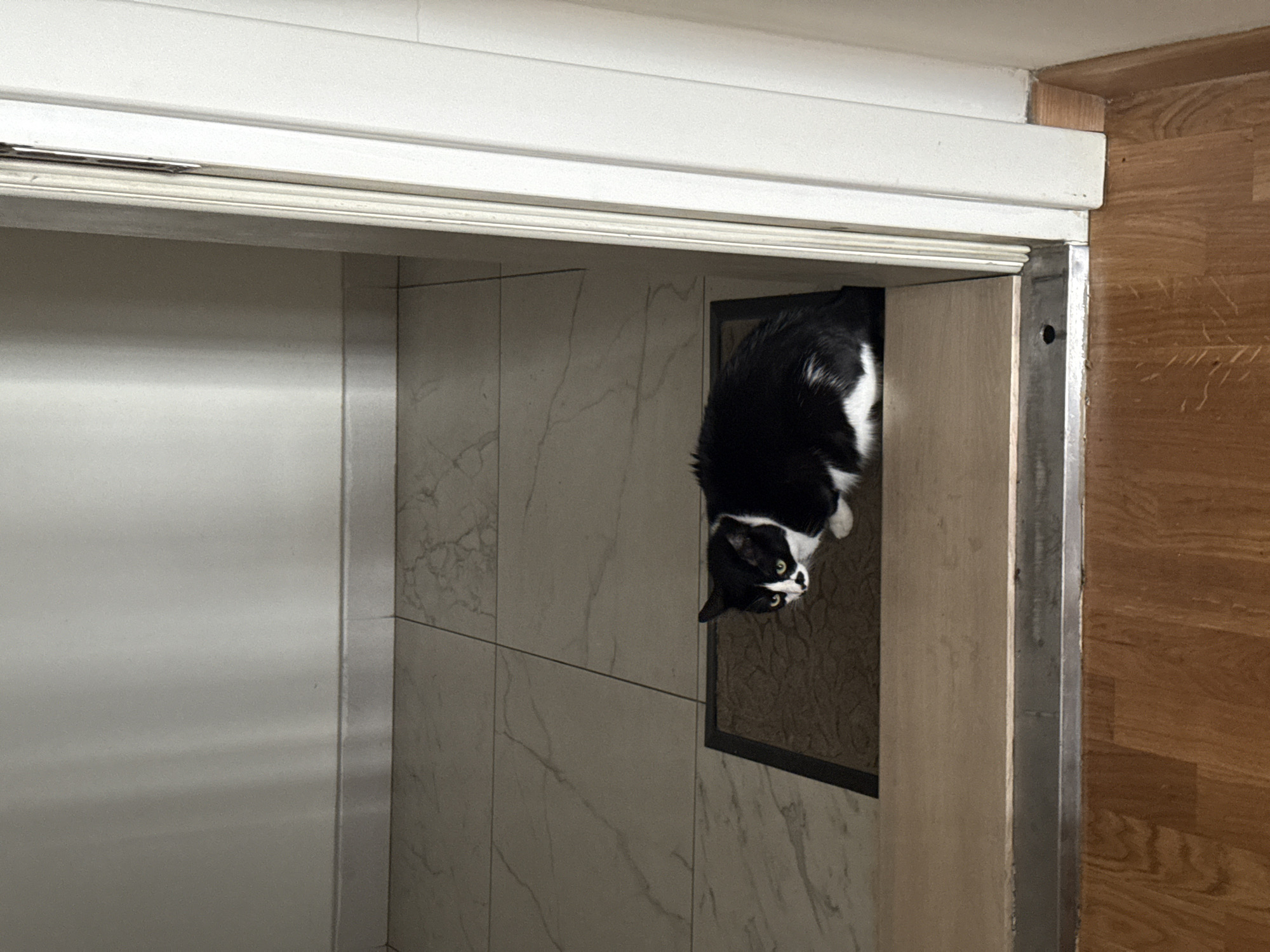 A black and white cat is crouched on a doormat in a doorway. The cat has green eyes and a white patch on its face. The doormat is dark brown and placed on a tiled floor. To the right of the doormat, a white doorframe is visible. In the foreground, there is a wooden floor with a slight incline. The background shows a wall with vertical shadows and a tiled floor. The scene appears to be indoors, possibly in a residential hallway or entryway. The specific location in Belgrade, Serbia, cannot be determined from the image alone.