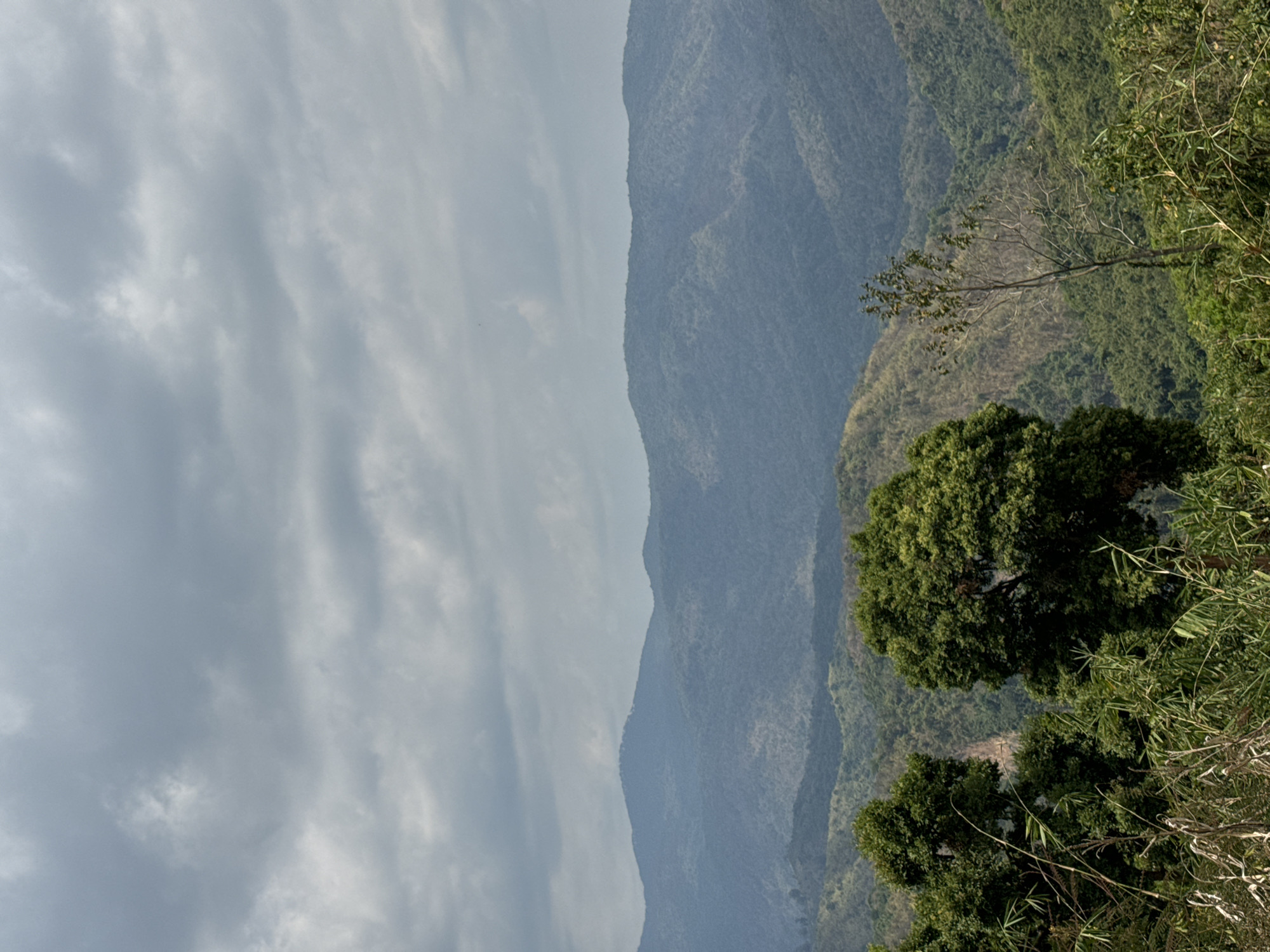 A landscape view, rotated for an unconventional composition, captures a mountainous region under an overcast sky. The leftmost portion of the image features layers of grey clouds. Adjacent to the clouds are a series of mountain ridges, their green slopes gradually receding into a hazy blue distance. On the right side of the image, vegetation, including trees and bamboo-like plants, occupies the foreground, partially obscuring the view of the mountains beyond. The image does not show definitive elements to pinpoint the exact location of Son Dien, Vietnam.
