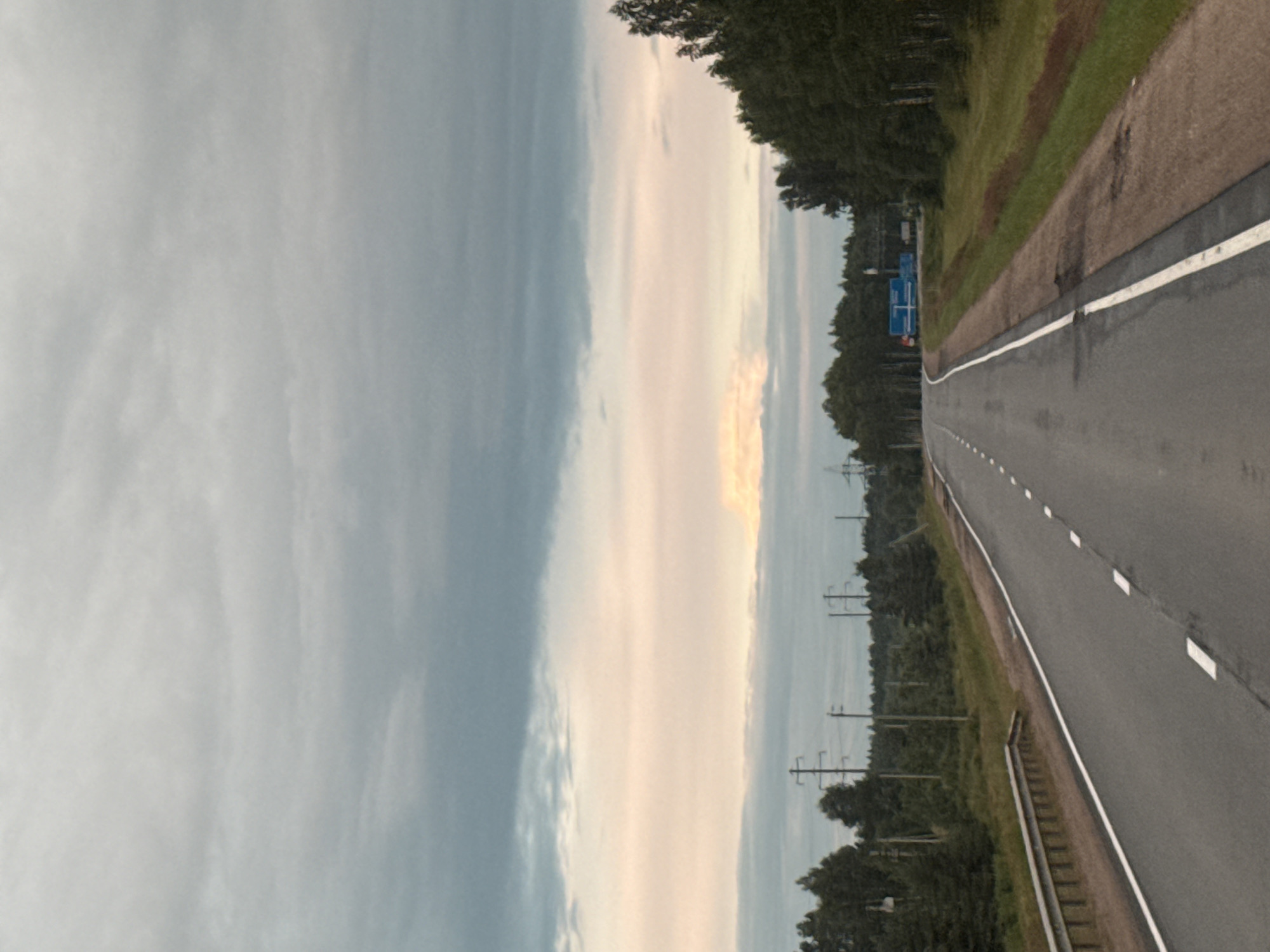 The image depicts a rural highway in Goriushki, Russia, under a cloudy sky with pastel hues near the horizon. A two-lane asphalt road stretches into the distance, marked with dashed white lines. To the left, a metal guardrail runs alongside the road, bordering a grassy embankment. Beyond the embankment, dense green trees line the horizon, interspersed with power lines and utility poles. On the right side of the road, a grassy verge slopes down from the pavement, transitioning into a dirt shoulder and then more trees. In the distance, blue shipping containers and a yellow truck are visible. The overall scene is one of a quiet, overcast day on a country road.