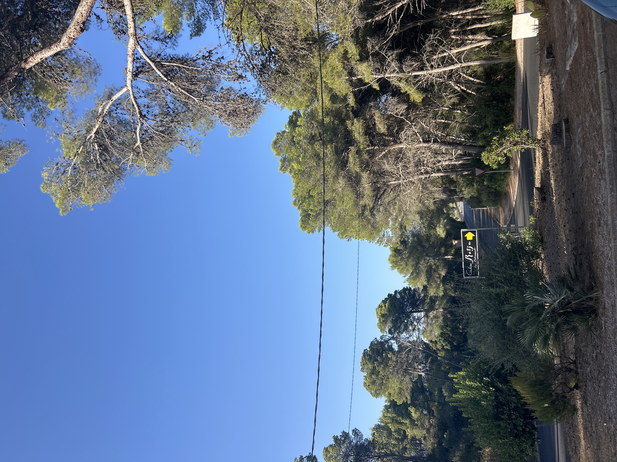 The image depicts a roadside scene in Capdepera, Spain, characterized by a clear blue sky and lush greenery. In the foreground, a dirt path is bordered by various shrubs, including a small palm plant and some trimmed bushes. A dark asphalt road curves to the left, leading uphill into a densely wooded area. A signpost with a yellow arrow points to the right, indicating "Casa Rotja" and "Via Restaurante". Beyond the road, tall trees with sparse foliage dominate the landscape, with some branches extending into the upper portion of the frame. The sunlight casts shadows, suggesting it is either morning or late afternoon.