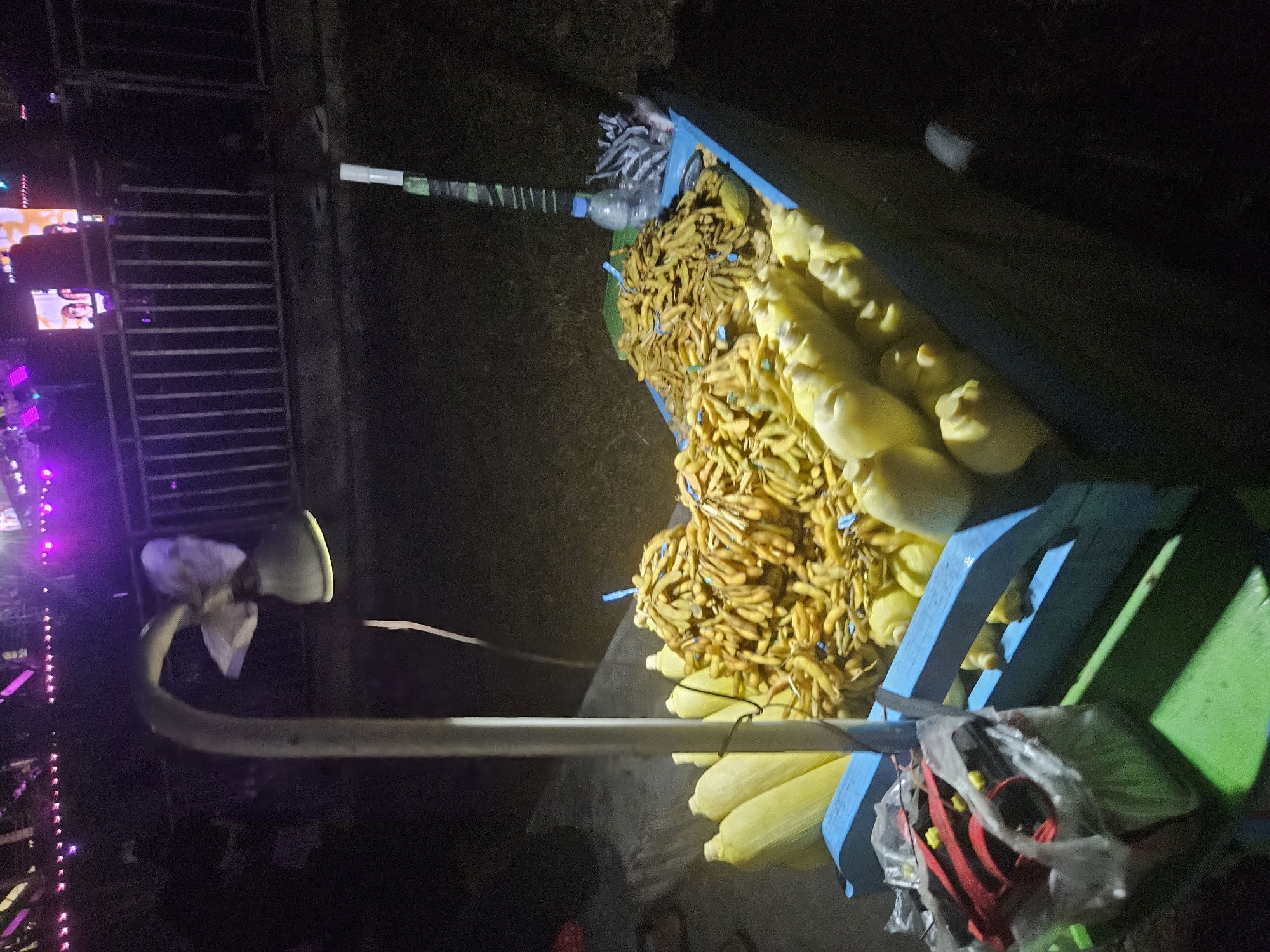 A mobile food cart is illuminated by a hanging lamp and purple stage lights in the city of Teluk Dalam, Indonesia. The cart is laden with produce, including several ears of corn and bundles of small, brown, bean-like pods. A clear plastic bottle of water and a bundle of what appear to be long, thin dried fish or similar items are also on the cart. In the foreground, a plastic bag contains a red and black object. The cart is positioned on a dark, grassy area, with a metal fence and a large screen displaying images of people in the background, suggesting a public event or performance is taking place.