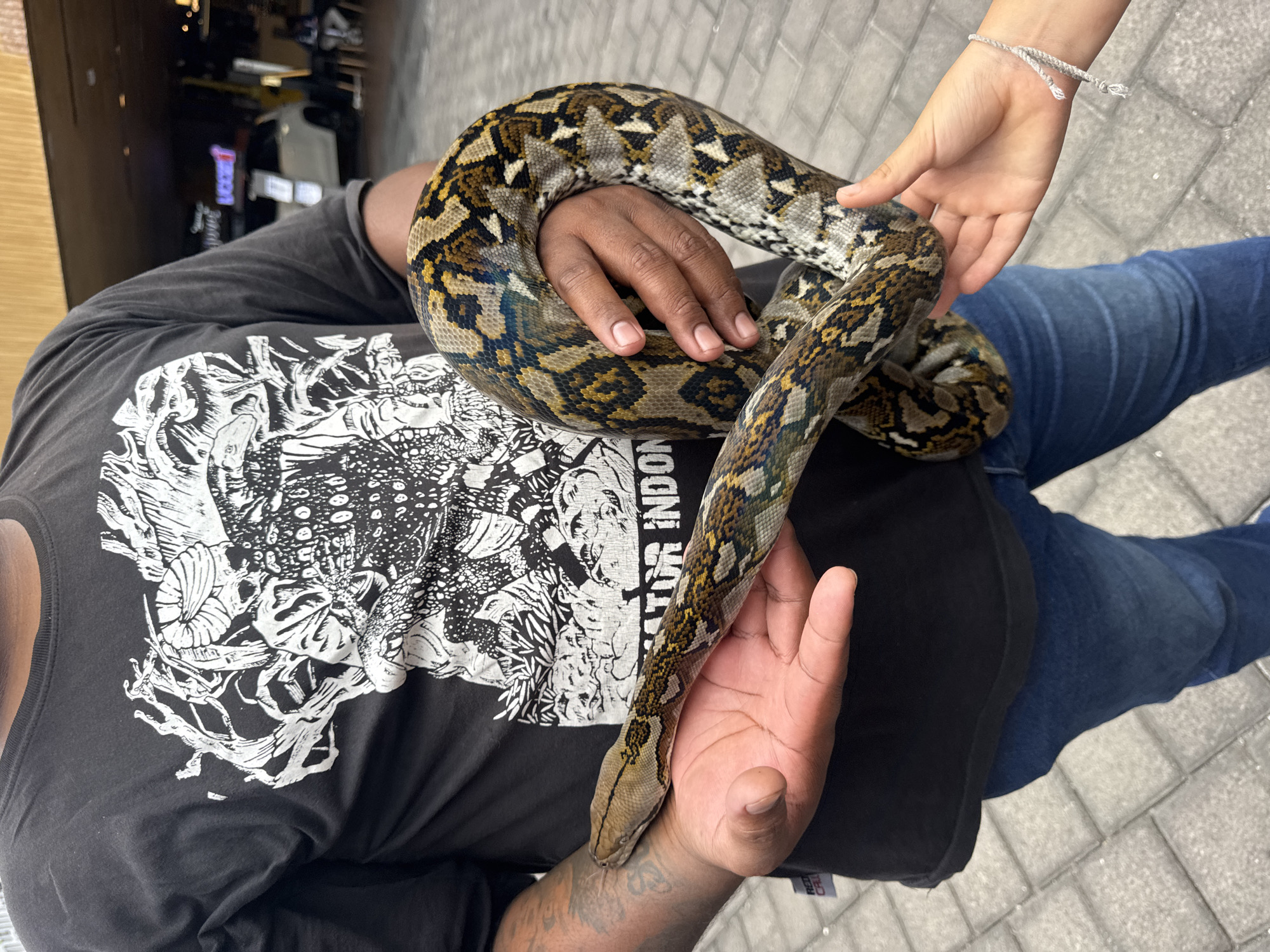A person wearing a black t-shirt with a white graphic print and blue jeans holds a large python in their arms. The python has a brown, yellow, and black patterned skin. The person's hands are positioned around the snake, supporting its body. Another person, a child, is seen with their hand reaching out towards the snake. The background suggests an outdoor urban environment, possibly a walkway or street, with paved ground and buildings in the distance. The lighting indicates it is daytime. This scene is likely in Kuta Selatan, Indonesia, given the context of the t-shirt which appears to say "ATOR INDON".