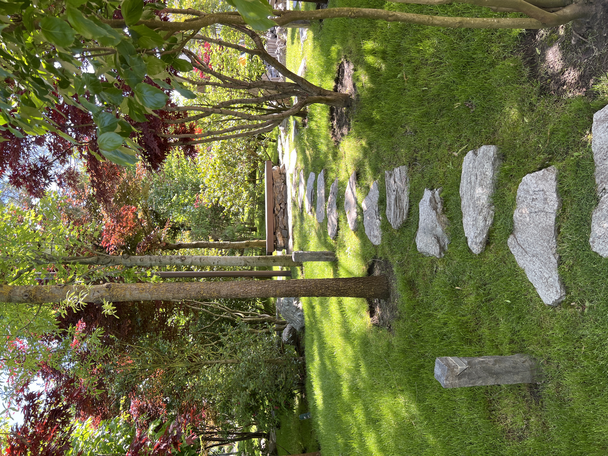 The image displays a tranquil garden scene in Krasnodar, Russia, featuring a winding path of irregular stone stepping stones laid across a lush green lawn. The path stretches from the foreground into the background, inviting exploration. Bright sunlight illuminates the scene, casting distinct, long shadows from the numerous trees onto the grass, suggesting it is daytime on a clear, sunny day.
The garden is rich with diverse foliage. On both sides of the path, various trees are visible, some with vibrant green leaves, and others boasting striking red and reddish-brown foliage, possibly indicating specific decorative tree species or autumn colors. The tree trunks are prominent, adding to the natural aesthetic. In the mid-ground, a dark wooden bench or seating area is partially visible, nestled amidst the greenery. Further back, a low stone wall or rock formation can be seen. In the immediate foreground, a single, rectangular dark stone block rests on the grass beside the path. The grass is well-maintained but shows some wear and thinning around the bases of the trees. There is no visible activity or people in the scene, conveying a sense of peace and quiet. No text is visible in the image.