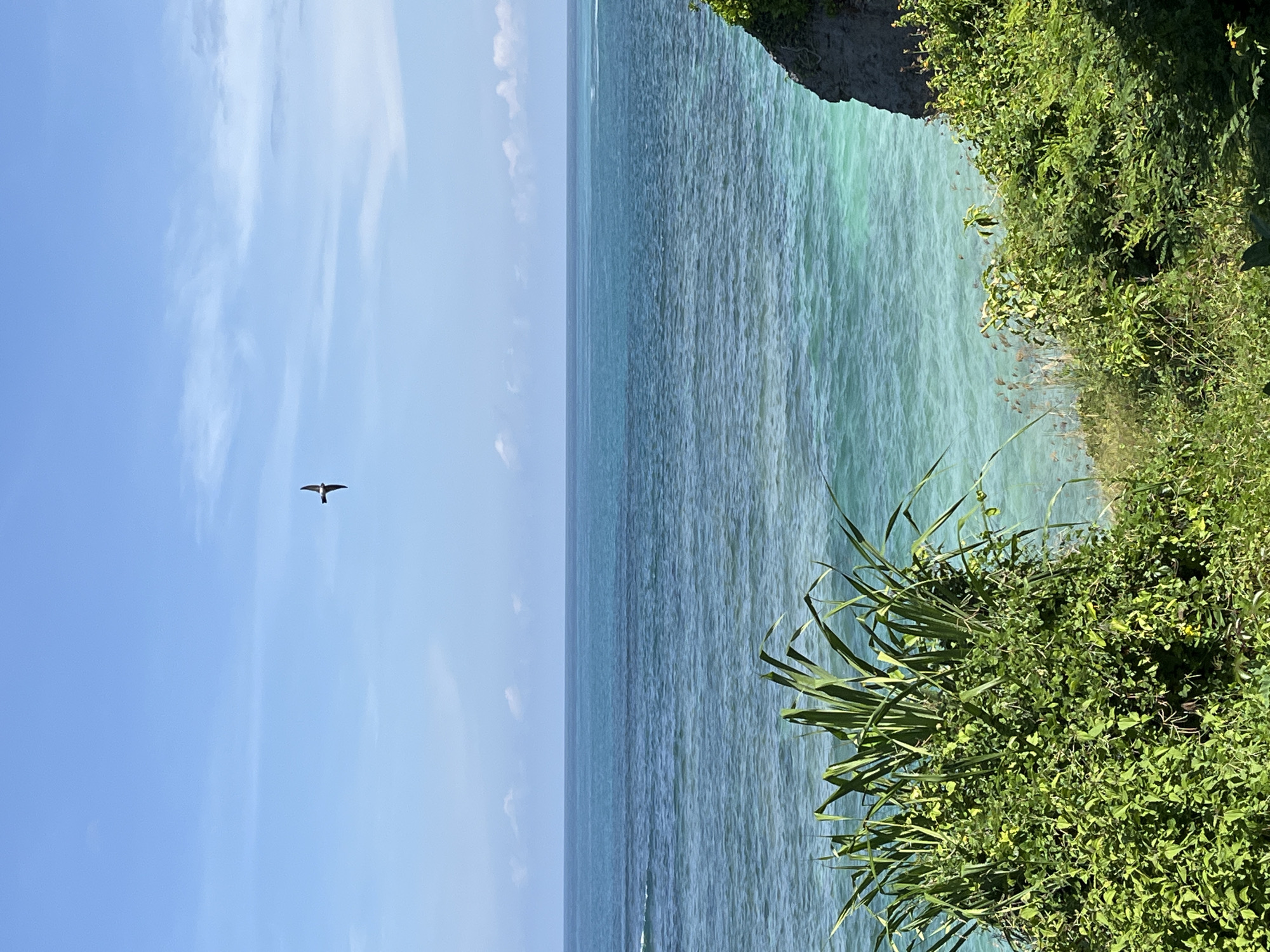 The image shows a seascape view taken from a coastal area in Kuta Selatan, Indonesia. The scene features a bright blue sky with scattered clouds, and a turquoise ocean that stretches to the horizon. A bird flies silhouetted against the sky. Lush green vegetation dominates the right side of the frame, possibly growing on a cliff or elevated landform overlooking the ocean. The ocean appears calm with gentle ripples on the surface.