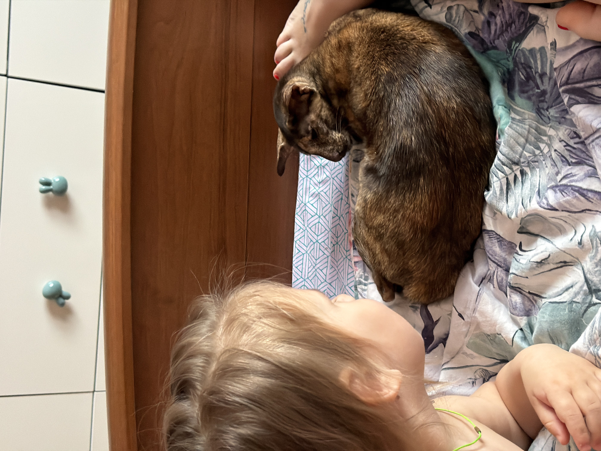 A young child lies on a patterned bedsheet looking up at a tabby cat that is situated beside the child's head. The child is fair-haired and wears a green necklace. The cat is curled into a donut shape. A wooden dresser is visible behind the bed. To the left of the dresser is a white cabinet with blue knobs shaped like rabbits. This image was taken inside a residence, presumably located in the city of Chaikovsky, Russia.