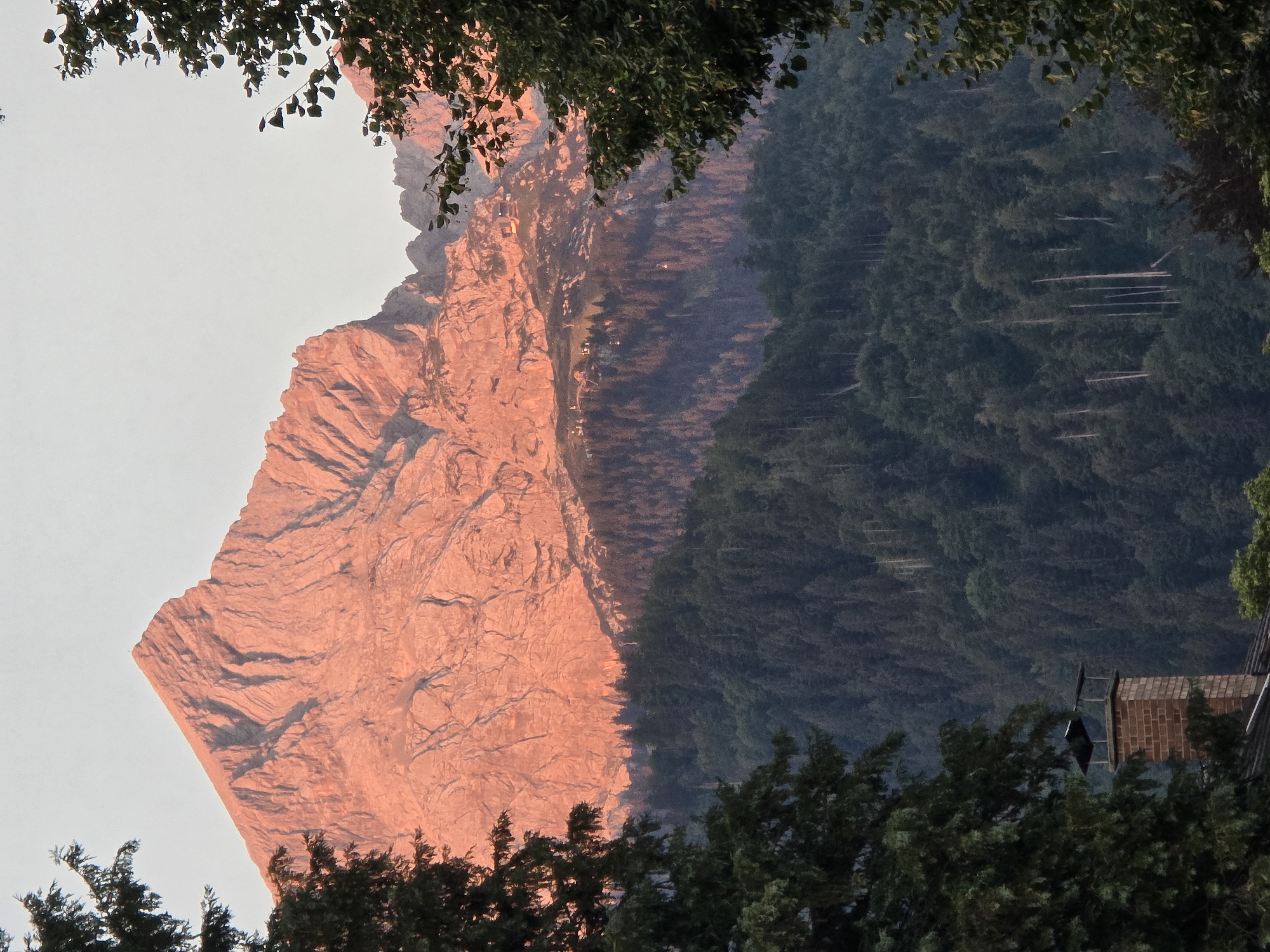 The image shows the Zugspitze mountain in Garmisch-Partenkirchen, Germany, illuminated by the warm glow of sunrise. The peak of the mountain is a sharp, jagged silhouette against a pale sky. Its rocky slopes are deeply creased, with shadows accentuating the rugged terrain. Below the peak, a dense forest of dark green trees covers the mountainside. In the foreground, the tops of two trees frame the view, their branches obscuring parts of the mountain and sky. To the left, the brick chimney of a building peeks out from behind the trees. The overall impression is of a serene natural landscape bathed in the soft light of early morning.