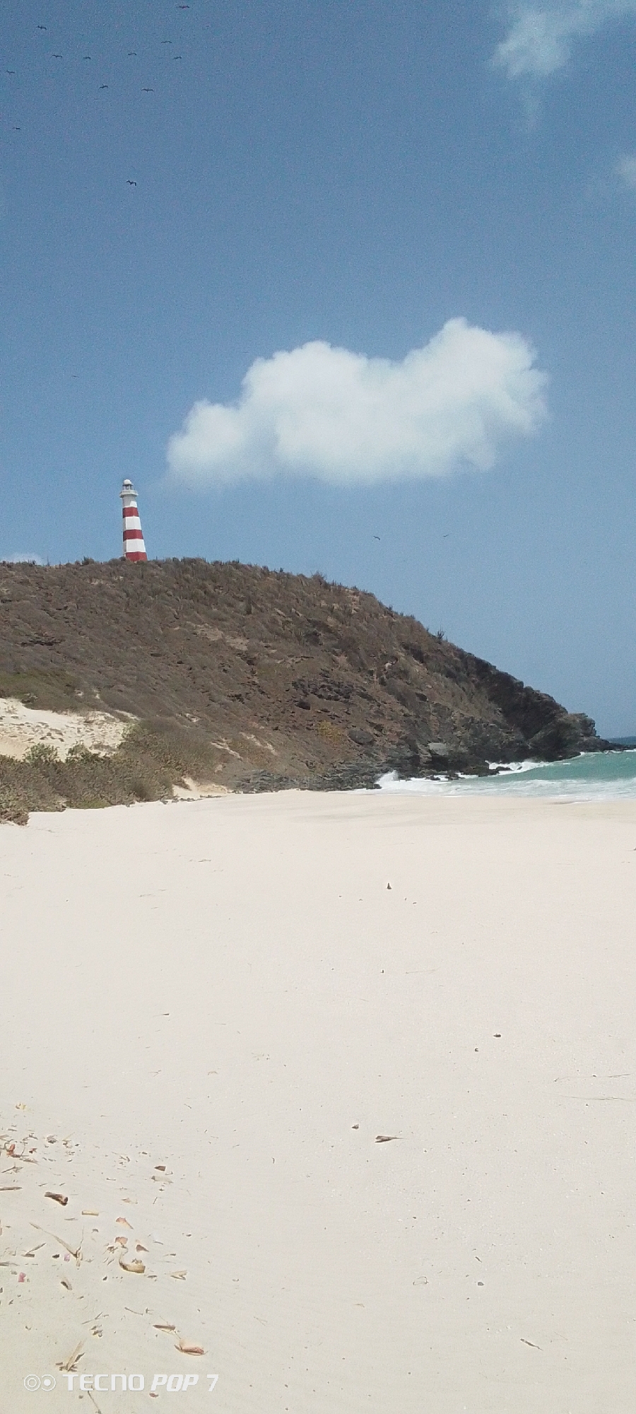 The image depicts a coastal scene in Pedro González, Venezuela. A red and white striped lighthouse stands atop a hill covered with sparse, brown vegetation. The hill descends to a white sandy beach. Ocean waves are visible at the base of the hill. Above, a blue sky is dotted with a few small clouds and several birds. Debris litters the foreground sand. The "Tecno Pop 7" watermark is in the bottom left corner of the frame.