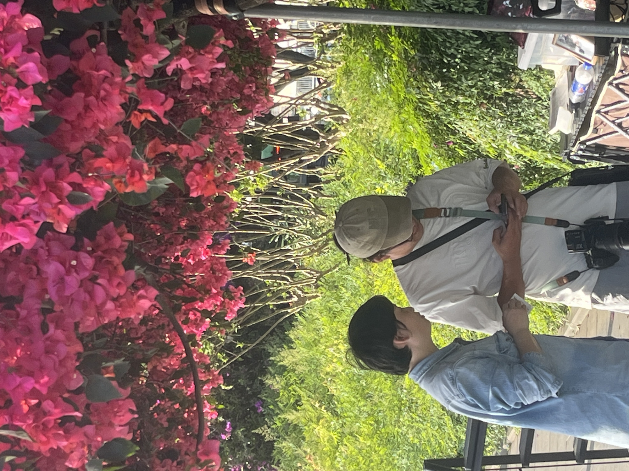 This rotated image captures an outdoor scene, vibrant with nature and human activity. On the left side, a dense mass of bright pink and red bougainvillea flowers forms a prominent feature. The background is filled with lush green foliage and tree branches, suggesting a garden or park setting.
Two individuals are the main human subjects. In the foreground, a person with short dark hair, wearing a light blue denim-style jacket, is seen in profile, looking towards the right. Slightly behind and to their right stands another person, wearing a white t-shirt and a light-colored baseball cap. This individual is holding a smartphone with both hands, seemingly engaged in viewing or photographing something. A camera is also strapped to their side.
In the far right background, part of a temporary outdoor setup is visible, including a collapsible chair, a plastic storage container, a small framed picture, and a clear plastic water bottle. The water bottle clearly displays Chinese text: "农夫山泉" (Nongfu Spring). A metal railing or bar stretches across the upper portion of the frame.
The image conveys a sunny daytime atmosphere, likely in a pleasant outdoor environment. The activity suggests a casual outing, possibly involving photography or simply enjoying the natural beauty. The location is Jiangjin, China.