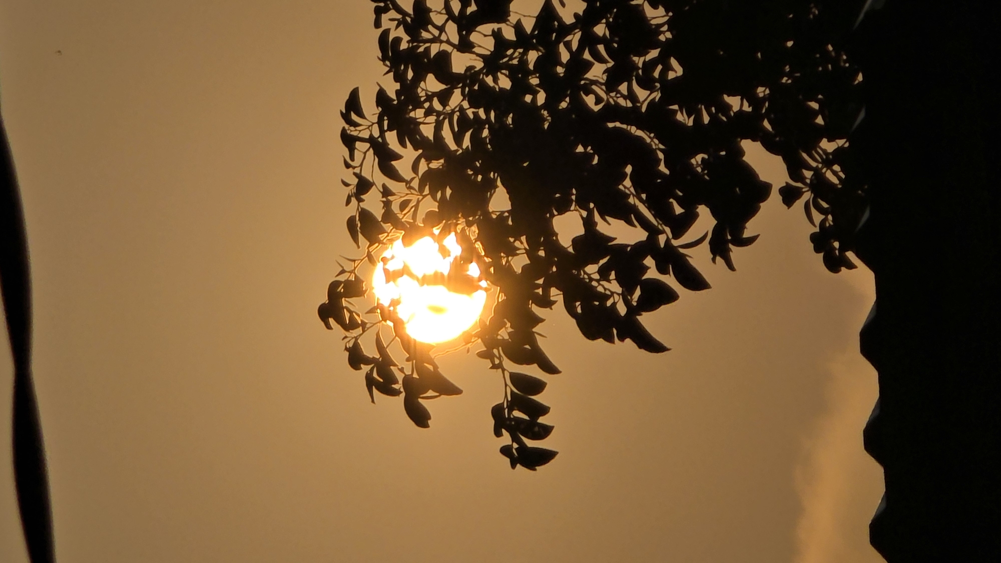 The image shows the sun shining through the leaves of a tree in Bac Natural Heritage Area Trang, Vietnam. The sun is a bright, circular object partially obscured by the silhouette of the leaves and branches. The leaves are dark and sharply defined against the bright light. The background is a hazy, orange sky. A dark vertical shape is visible on the left side of the image. Another dark mass is visible on the right of the image.