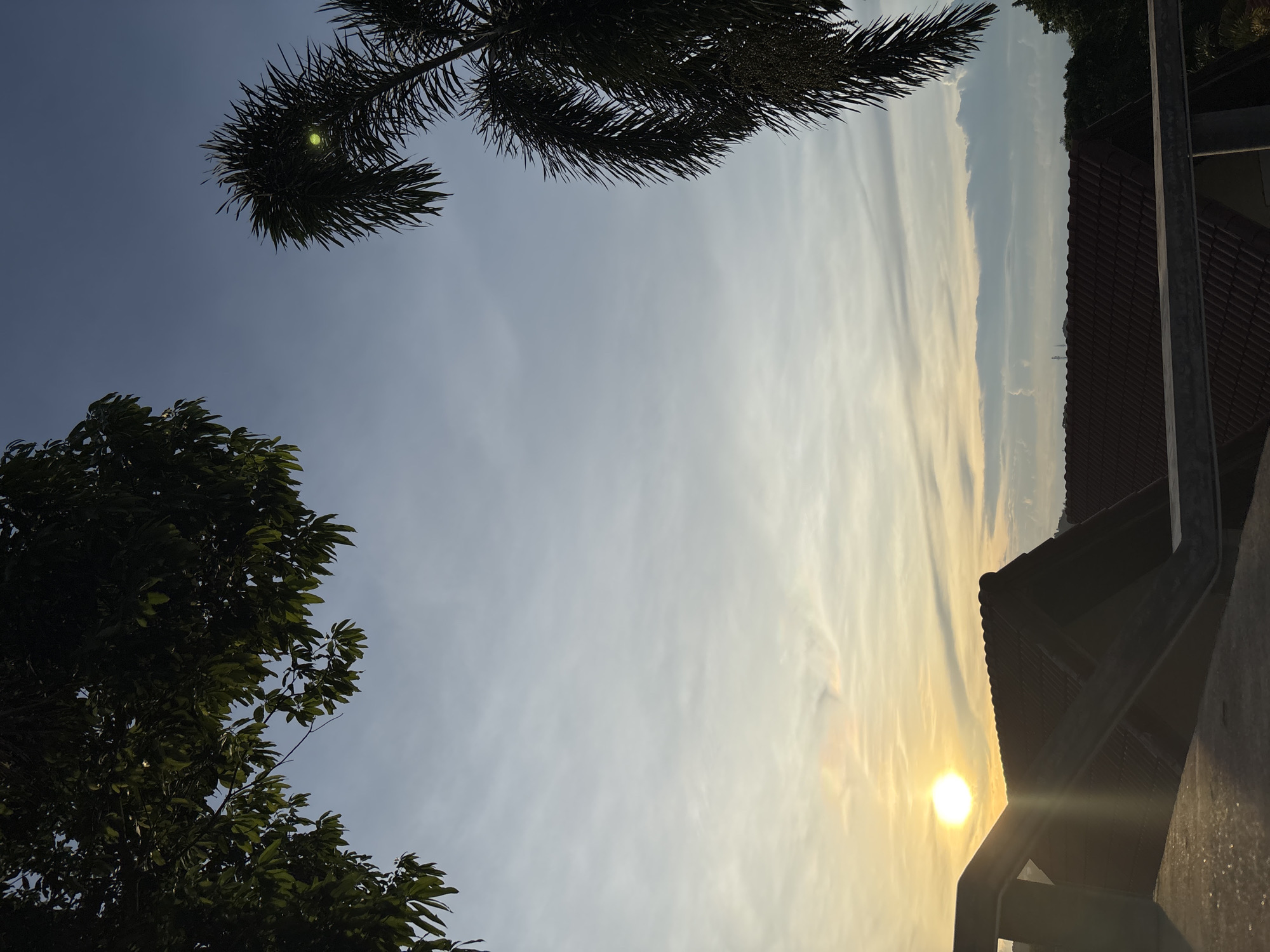 The image shows a sunset over a city. The sun is setting behind a row of houses with red tiled roofs. In the foreground, there is a concrete railing. In the sky, there are some clouds and a palm tree. In the upper left corner, there are some leaves from a tree. The sky is a gradient of orange and blue, with streaks of clouds. The overall scene is peaceful and serene.