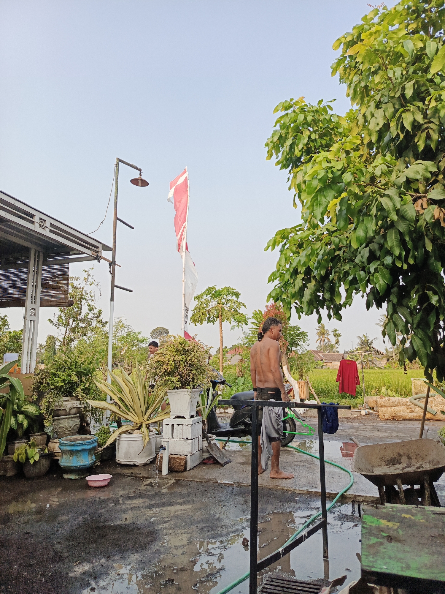 In Rowokangkung, Indonesia, an outdoor scene unfolds with a man standing shirtless in the foreground, wearing dark shorts and a gray cloth draped around his waist. He is positioned near a black motorcycle. Water is pooling on the ground, indicating recent or ongoing activity. To his left, a simple structure with a metal frame and bamboo blinds is visible, and numerous potted plants are arranged nearby.
A tall metal pole with an old-fashioned light fixture stands prominently, with a red and white Indonesian flag flying from a separate pole behind it. A second, younger male is partially visible in the background, near the plants. Further back, a lush green rice paddy stretches towards the horizon, with houses and trees dotting the landscape. A red shirt hangs on a clothesline in the middle ground.
To the right of the image, a wheelbarrow and a green table are present. The overall environment suggests a residential or semi-rural setting. The sky is clear and bright, indicating daytime.