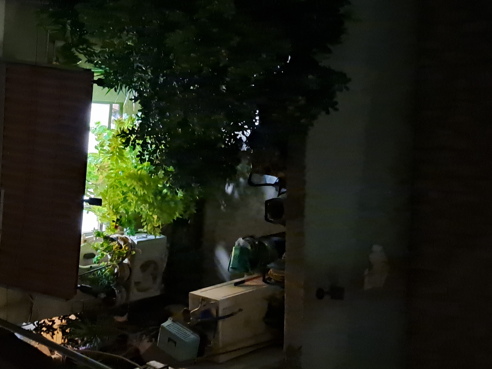 This is a slightly elevated, night-time, wide-angle shot taken from an outdoor balcony overlooking a patio or small garden area, likely in Ramat HaSharon, Israel. The scene is dimly lit, with some artificial light source illuminating the plants and a window.
In the foreground, a dark concrete ledge or wall runs across the bottom of the image, with a small, dark object resembling a light fixture mounted on its upper surface.
The middle ground reveals a collection of items. To the left, a pale, rectangular container, possibly a cooler or storage box, is visible. On top of it rests a light blue pet carrier with a dark handle and a rectangular opening. Next to the container is a light-colored, upright rectangular object, possibly a piece of furniture or another storage unit. A green bucket or container is placed on the ground behind these items. Further to the right, partially obscured by foliage, is a dark, metallic object that appears to be a piece of outdoor equipment, such as a barbecue grill or a small generator.
The background is dominated by lush green foliage and plants, suggesting a garden or potted plants. Some of these plants are illuminated from behind, possibly by the light from a window or an unseen light source, creating a bright, hazy glow. A window with a dark frame is visible through the leaves. A dark awning or overhang is positioned above the window and plants, casting a shadow over the scene. The overall impression is of a cluttered outdoor space at night, with a focus on plants and various utilitarian objects. There are no people visible in the image.
