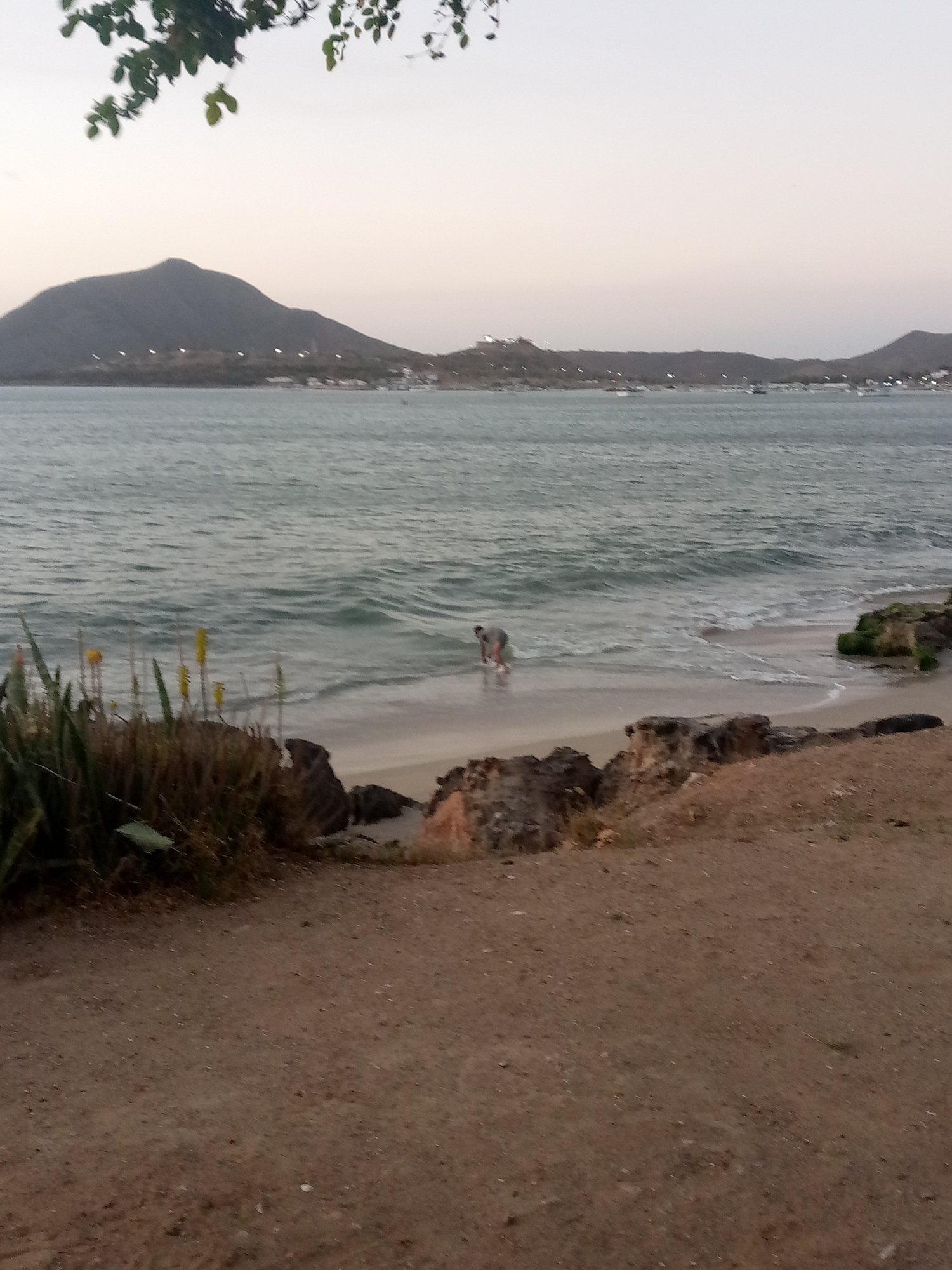 The image depicts a beach scene in Juan Griego, Venezuela. In the distance, there is a large mountain with buildings along its base. In the water, there is an individual bent over, appearing to be interacting with the water. There is a shoreline with a mix of sand and rocks, and some vegetation is present on the left side of the frame. The foreground is comprised of sandy soil. The time of day appears to be dusk or dawn, given the lighting conditions.