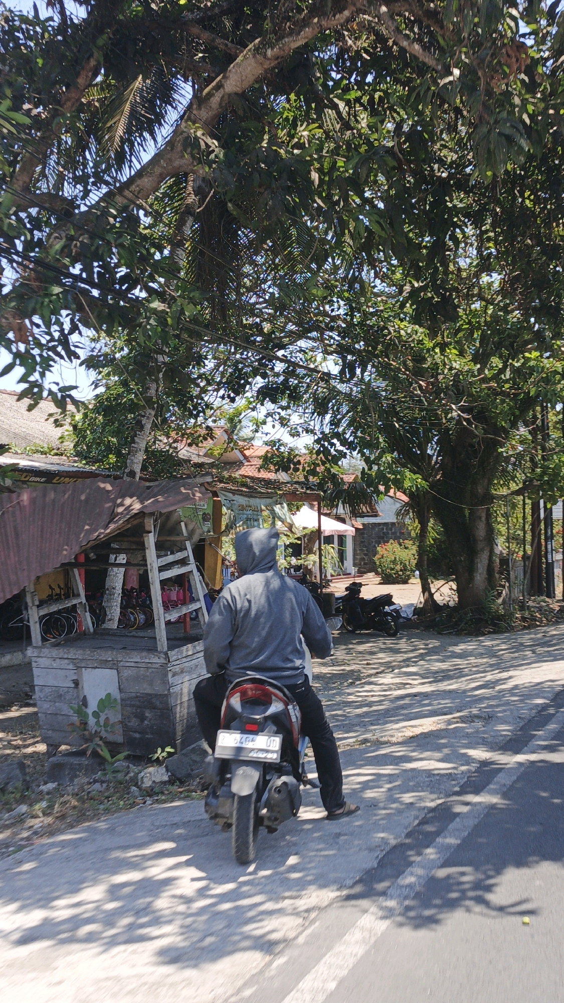 In Desa Wonoharjo, Indonesia, a person wearing a grey hooded jacket and black pants is riding a motorcycle away from the camera. The motorcycle has a license plate that reads "Z 2484 UD". The scene takes place on a paved road shaded by large trees. To the left of the road is a small wooden stall with a corrugated metal roof, displaying bicycles for sale. In the background, there are buildings with tiled roofs and lush green vegetation. The overall atmosphere is bright and sunny, suggesting it is daytime.