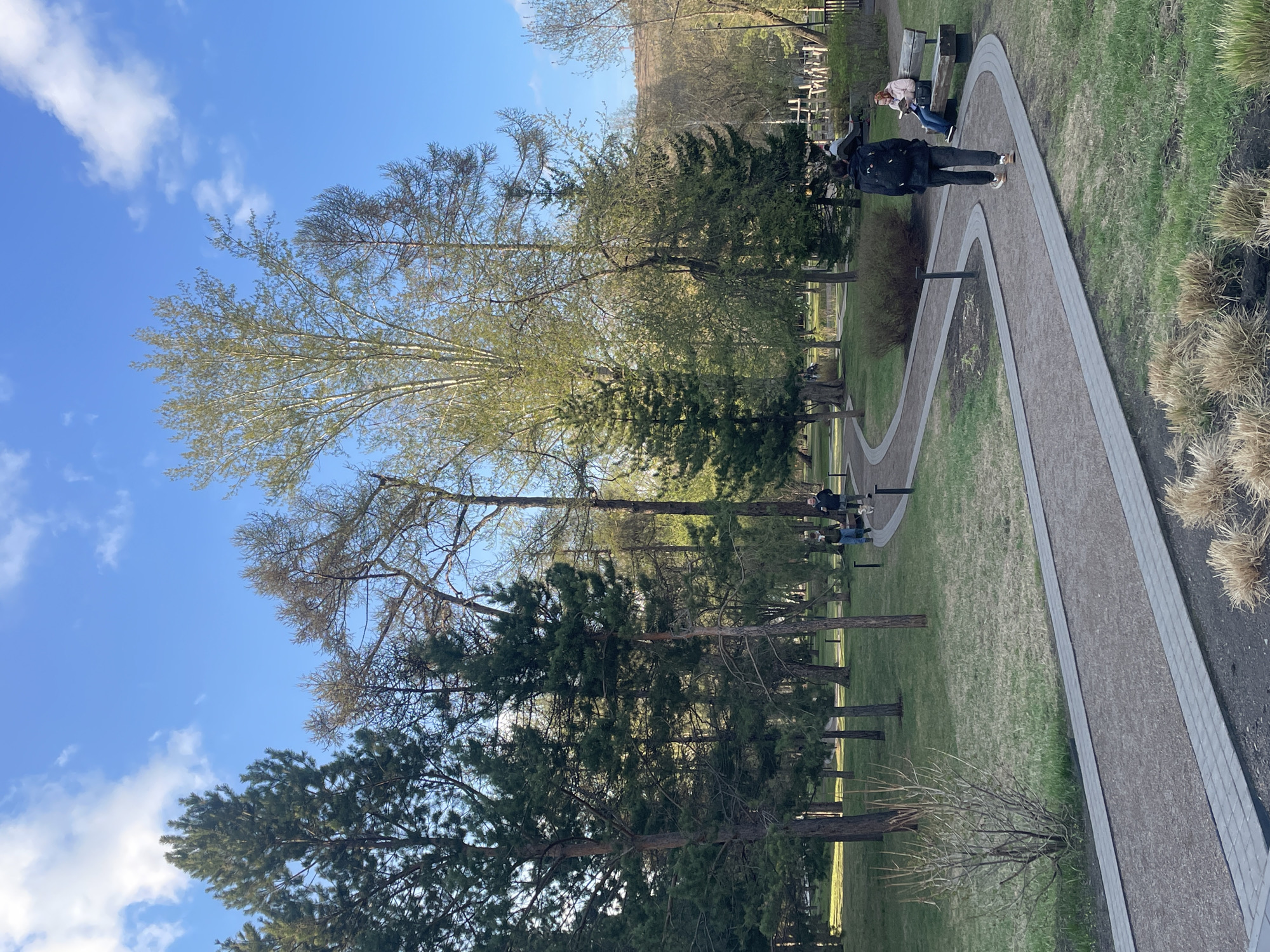 A low-angle, rotated outdoor shot depicts a gravel path winding through a park landscape on a sunny day. The path, bordered by light-gray pavers, curves gently with a person walking on it. The background consists of a tree line with varying species, including evergreen and deciduous trees. A blue sky with scattered clouds is visible above the tree line. In the background are figures sitting on a bench. It is the park in Krasnoyarsk, Russia.