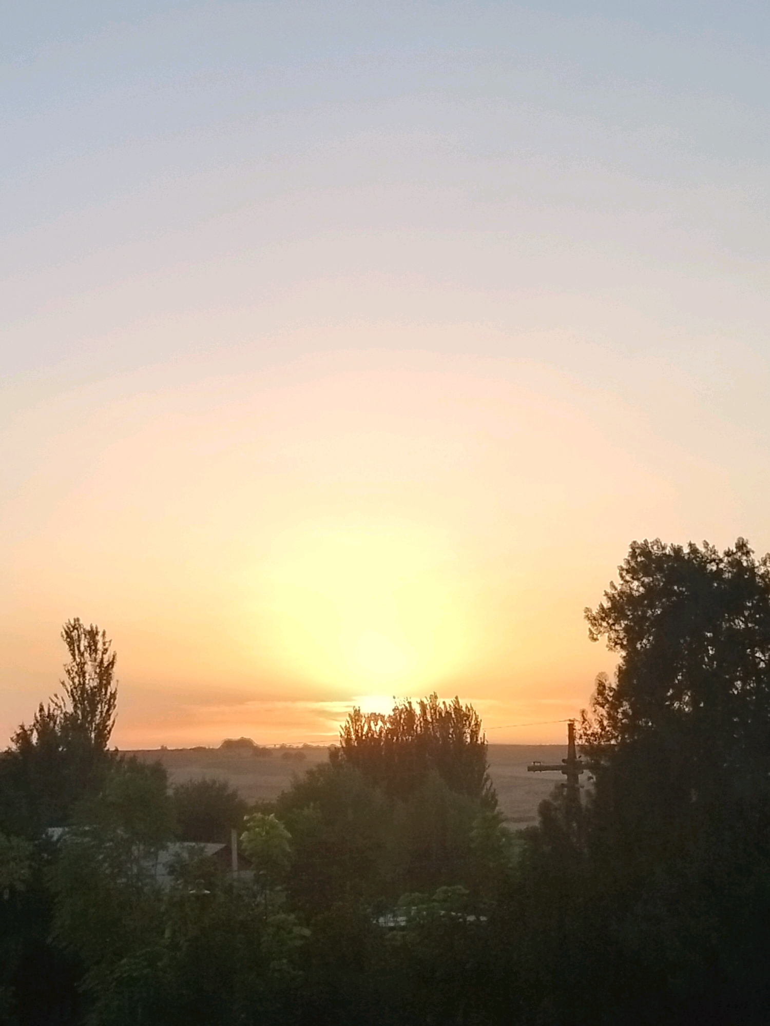 This is a photograph of a rural landscape at dusk, taken in the vicinity of Көлкент, Kazakhstan. The sky dominates the upper portion of the image, displaying a gradient of soft pastel colors, transitioning from a pale blue at the top to warm yellow and orange hues near the horizon, indicating the setting or rising sun. A bright, diffused light source, likely the sun, is partially obscured by a thin layer of clouds or atmospheric haze along the horizon line.
The lower half of the image is filled with a silhouette of trees and vegetation. In the foreground, dark, dense foliage creates a shadowy mass. Prominent among these are several tall, slender trees with pointed tops, their dark forms sharply contrasted against the bright sky. To the right, a larger, bushier tree with a fuller canopy is visible. In the mid-ground, a slightly hazy landscape of fields and scattered trees can be discerned, with some structures, possibly houses with visible roofs, nestled among them. A solitary utility pole with crossbars stands out on the right side of the mid-ground, further emphasizing the rural setting. The overall impression is one of a peaceful, natural environment at the transition between day and night.