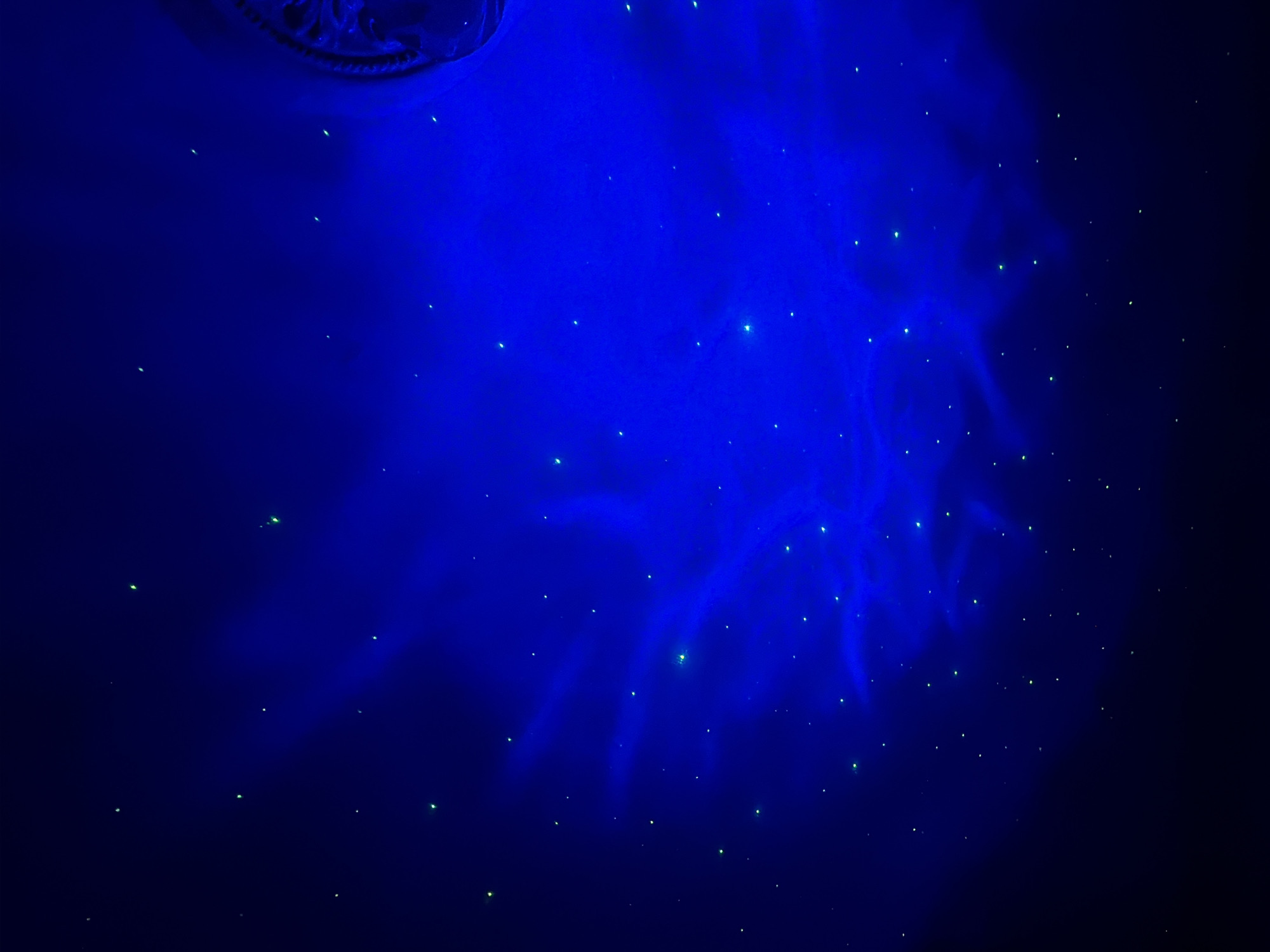 The image depicts a dark blue ceiling with numerous small, glowing green points of light, resembling stars. There are also faint, wispy patterns of brighter blue light, suggesting a nebula or celestial display. In the upper right corner, a portion of a decorative molding is visible, which appears to be circular and ornate. The overall impression is that of a simulated night sky. The location in Komsomolskiy, Russia, is not discernible from the visual information presented in the image. There are no people, animals, or discernible actions taking place. The scene is static and focuses solely on the visual effect of the illuminated ceiling.