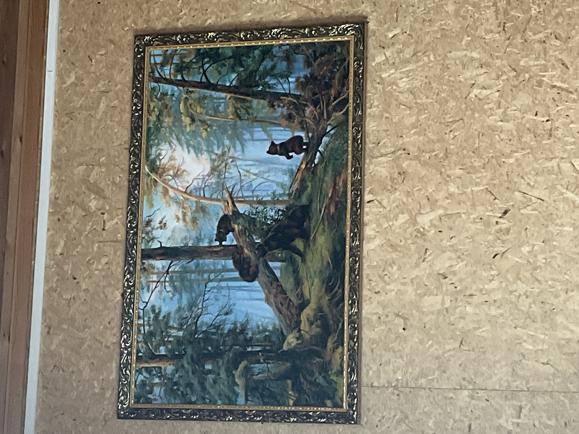 A vertically oriented painting, enclosed within an ornate gold and dark brown frame, is prominently displayed on a light brown wall. The wall material appears to be oriented strand board (OSB) or similar particle board, characterized by visible wood chips and an uneven texture. A light-colored wooden door frame or trim is partially visible along the left edge of the image.
The painting depicts a lush, natural forest scene, possibly adjacent to a body of water. Large, gnarled trees with dense, dark green foliage and moss-covered trunks dominate the foreground and midground. A bright, light blue sky is visible in the upper background, suggesting a daytime setting, which transitions into what appears to be a calm body of water—a lake or river—in the distant background.
Two dark, bear-like animals are visible within the painting. One is positioned in the upper right section, traversing a thick tree branch. Another bear is situated in the lower left, also on a tree branch, partially obscured by the surrounding vegetation. These animals appear to be small, possibly cubs, moving through their arboreal habitat.
The image captures the painting in an interior setting, likely in Chaikovsky, Russia, as per the provided context. No visible text is present in the image.