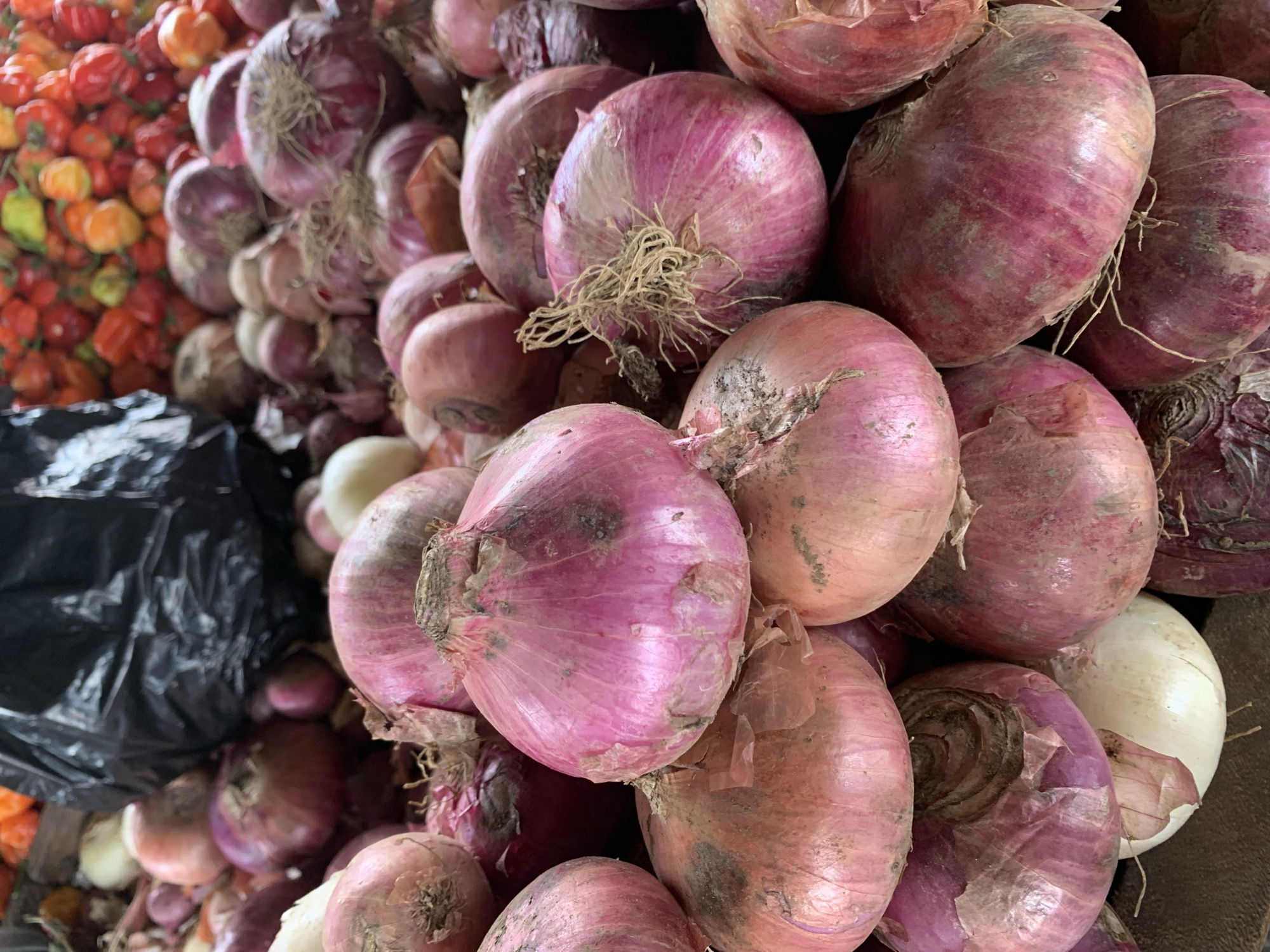 A street market scene in Ilorin, Nigeria features a close-up of piled produce. Red onions dominate the foreground, some with roots still attached. To the left, a pile of scotch bonnet peppers are visible. A black plastic bag sits among the produce. No people are visible.