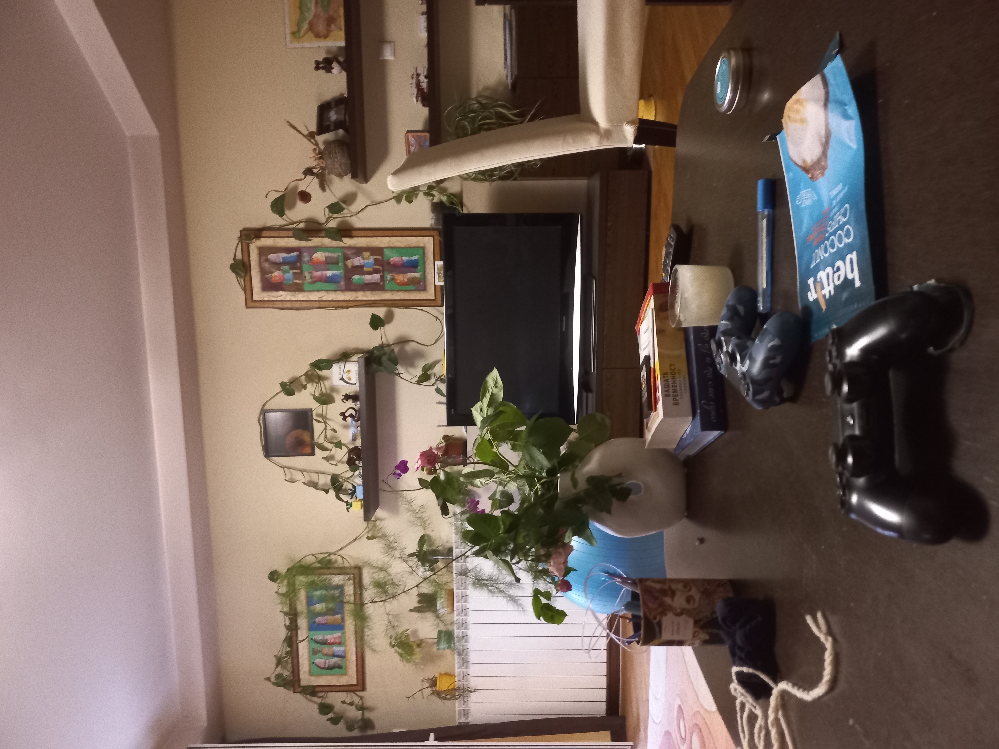 The image captures an interior scene, likely a living room or common area, characterized by a mix of furniture and personal items. In the foreground, a dark wooden table occupies the right side, laden with various objects. These include a blue bag of "bettr COCONUT CHIPS," a blue pen, a small silver tin, a roll of white tape, and two black video game controllers. A white ceramic vase holds a bouquet of pink and purple flowers with green foliage. Partially visible behind the vase is a blue exercise ball. A small decorative box, a blue sock, and a piece of white yarn are also on the table. A book titled "ВАШАТА ВРЕМЕННОСТ" (Your Temporality) and "ПЪТЯТ..." (The Way...) in Bulgarian is also visible.
In the mid-ground, a light beige upholstered armchair with wooden legs is partially visible, positioned in front of a flat-screen television resting on a brown wooden TV stand. The light beige walls are decorated with framed pictures, including one prominently displaying colorful fish and another smaller, darker image. Green ivy-like plants are artfully arranged, trailing around the frames and wall shelves. The shelves hold various small decorative items and additional potted plants. A white radiator is visible below the TV stand.
No people are present, and there is no specific activity taking place. The scene depicts a domestic setting, suggesting a comfortable, lived-in space. The lighting appears to be artificial, providing no clues about the time of day.