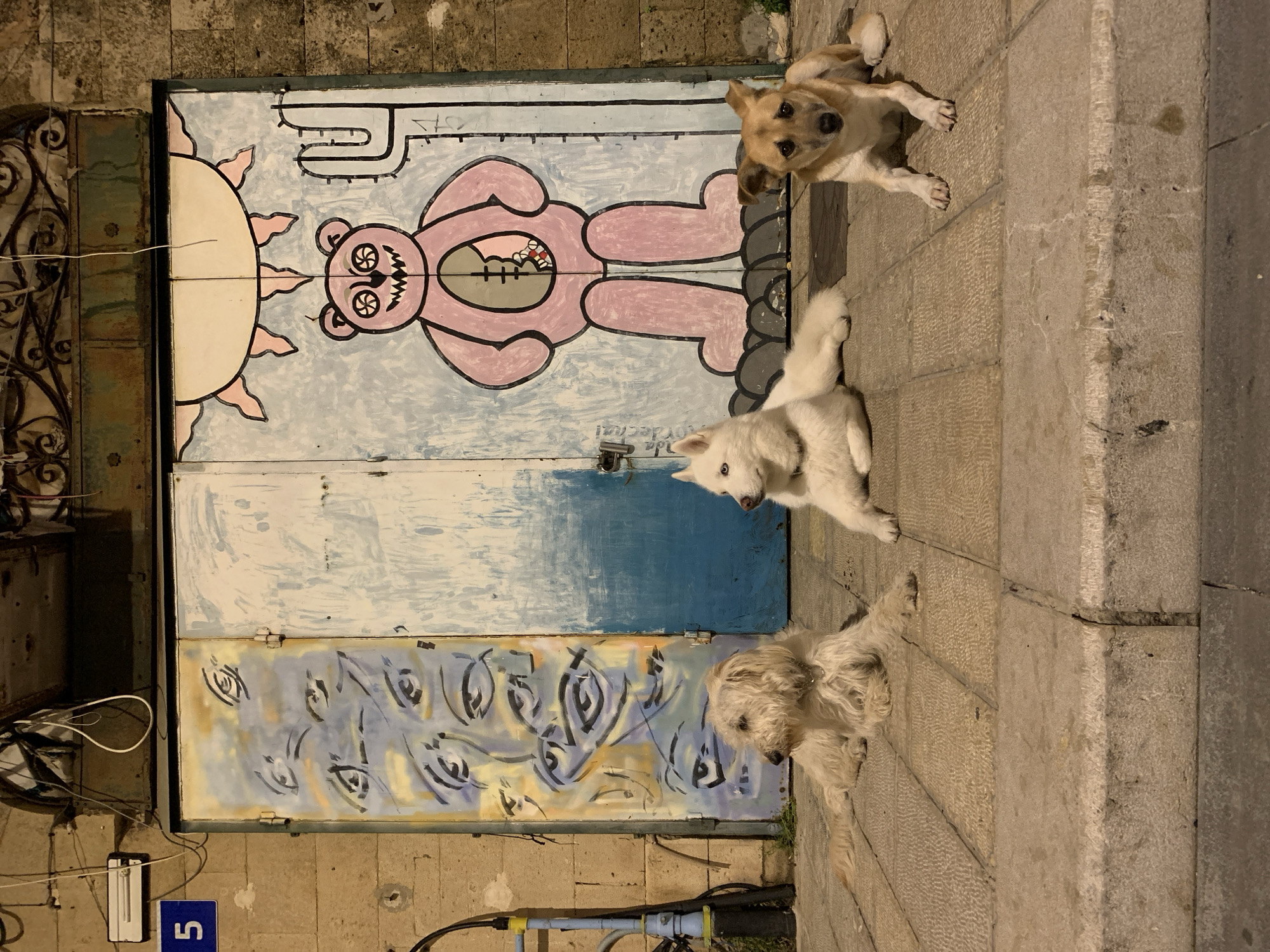The image displays three dogs lying on a textured, light-colored stone-paved sidewalk in an urban setting within the city of Tel-Aviv, Israel. No human subjects are visible.
From left to right:
1. A medium-sized dog with light brown, shaggy fur lies on its belly, facing right with its head slightly turned.
2. A medium-sized dog with white, fluffy fur, possibly a Husky, lies on its belly, facing right with its head slightly turned. Its eyes appear blue.
3. A medium-sized dog with tan and white short fur lies on its belly, facing directly towards the viewer with its ears perked.
Behind the dogs is a metal double door covered in graffiti. The left door panel features multiple stylized blue and white eyes on a background of swirled blue, yellow, and white paint. The right door panel depicts a large, pink cartoon bear with jagged teeth and spiral eyes. The bear has an oval-shaped, patched section on its stomach revealing a red-orange internal mass. Above the bear is a yellow semi-circular sun with pink rays, and to its right, a light blue stylized cactus. The background of this panel is light blue and white.
To the left of the door, a light-colored brick or stone wall is visible. A blue rectangular sign with the white numeral "5" is affixed to this wall. Above the sign, a white fluorescent light fixture is mounted, and below it, a blue and yellow pipe runs vertically. Above the door frame, an ornate metal grate or railing structure is present, with white electrical wires hanging loosely. The foreground includes a raised curb separating the sidewalk from a darker street surface. The scene is illuminated by artificial light, consistent with evening or nighttime conditions.