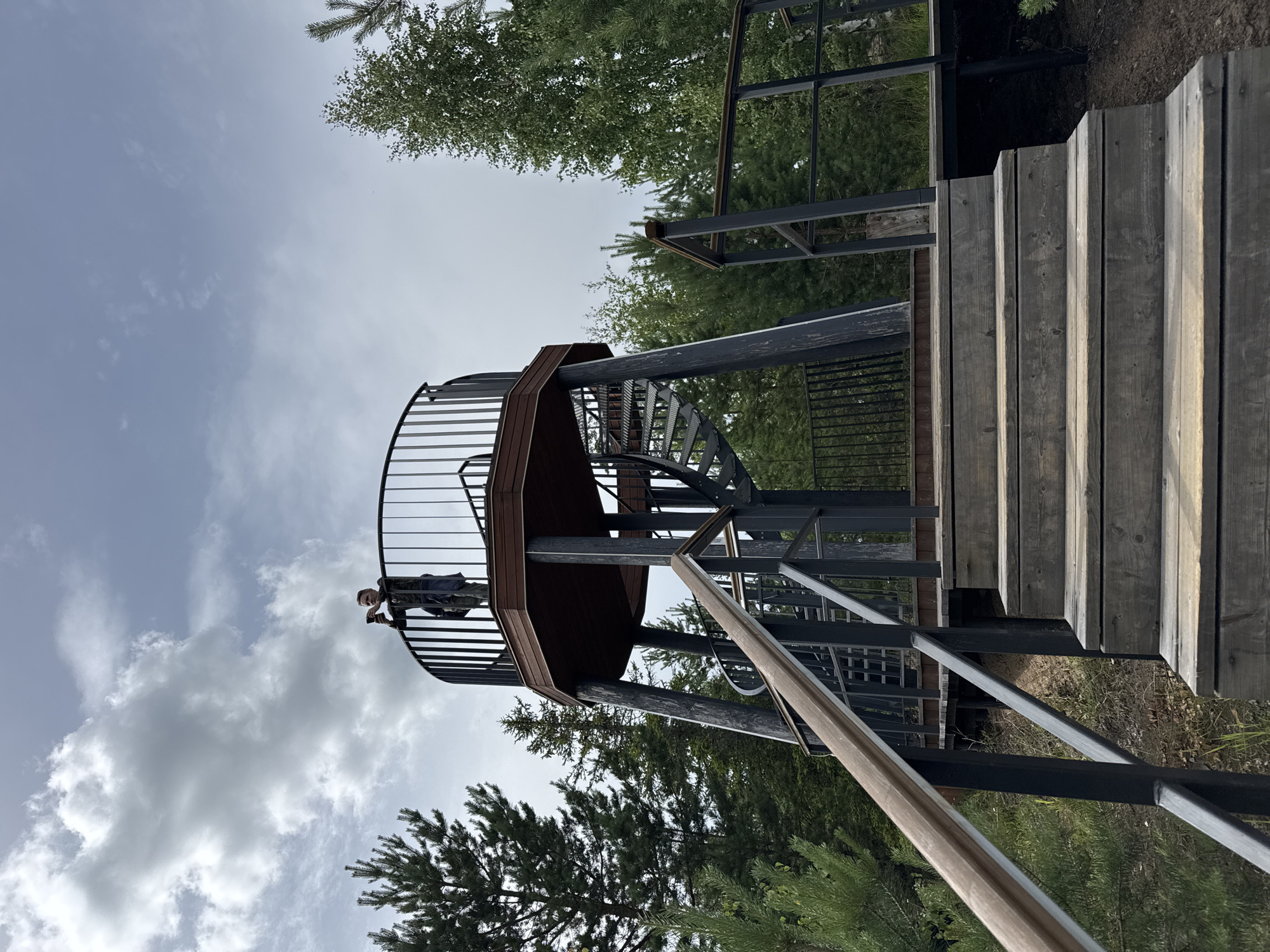 A person stands on a circular observation deck atop a tower, holding a phone to take a picture. The tower has a spiral staircase and wooden stairs leading up to it. It is surrounded by a forest of pine and birch trees under a cloudy sky. The location is the observation tower in the city of Peski, Russia.