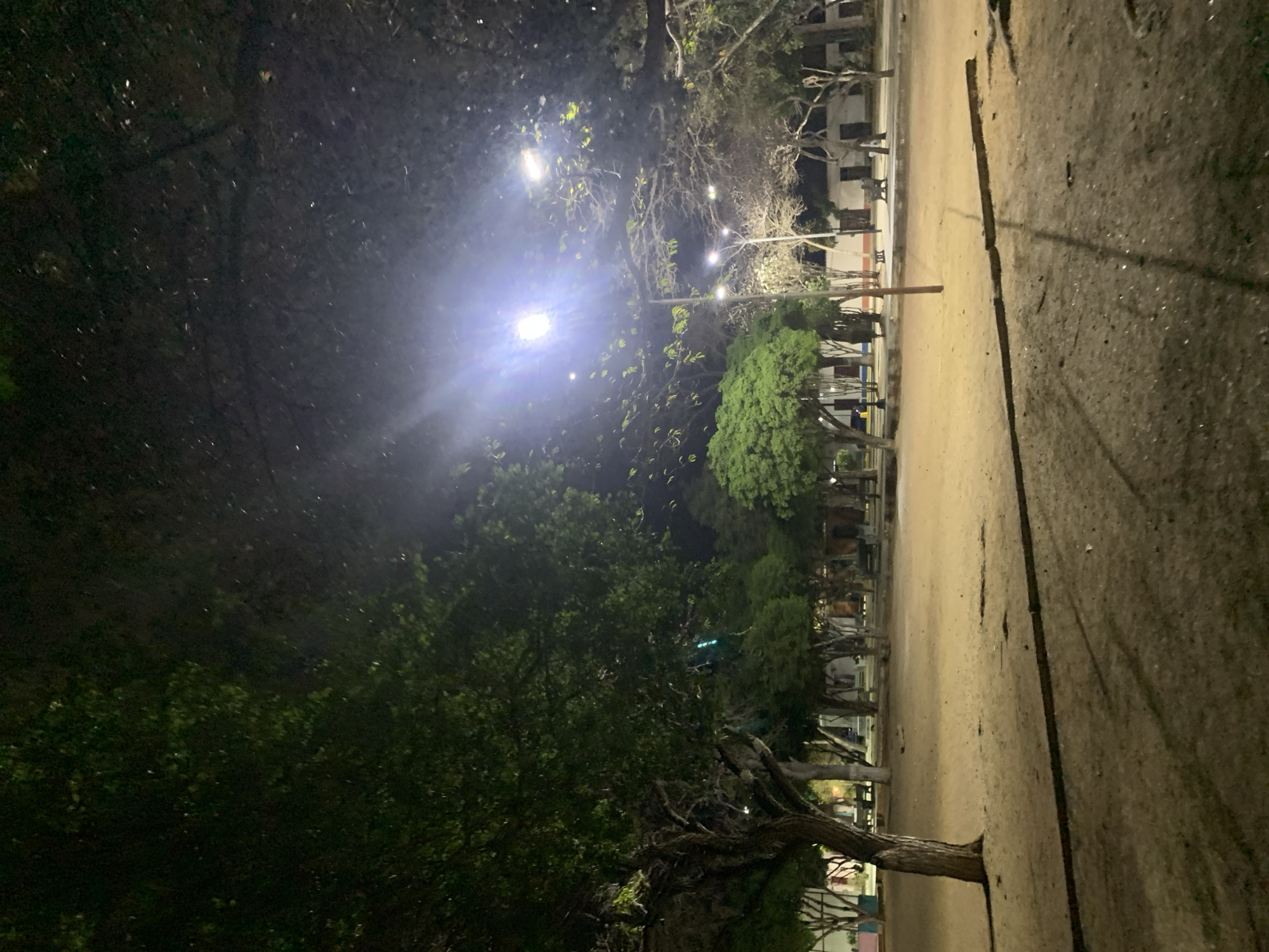 The image depicts a park at night in Santa Ana, Venezuela. The foreground shows a paved path with a dark, possibly asphalt surface. To the left of the path, there's a dense area of trees and vegetation, dimly lit by streetlights. The trees appear to be varied in size and type, with some displaying bare branches. Streetlights are scattered throughout the scene, emitting a bright glow and creating lens flares. In the background, there are buildings. The lighting is low, which contributes to a shadowy and somewhat eerie atmosphere. There are no visible people in the image.
