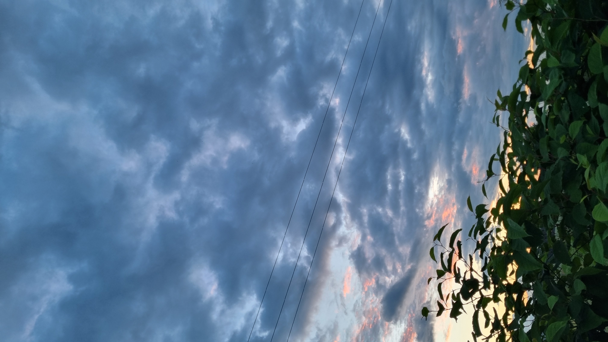 The image depicts a natural scene under a cloudy sky. In the foreground, dark green foliage from bushes or trees forms a dense layer across the bottom of the frame. Above the foliage, three thin black wires run horizontally across the image, suggesting the presence of overhead power lines. The sky is predominantly filled with a mix of dark grey and blue clouds, with some lighter patches and hints of pink and orange light, indicating either sunrise or sunset. The overall impression is of an outdoor environment, possibly in a rural or suburban setting, with the power lines being the only man-made element clearly visible. The location is identified as Vysokoe, Russia.